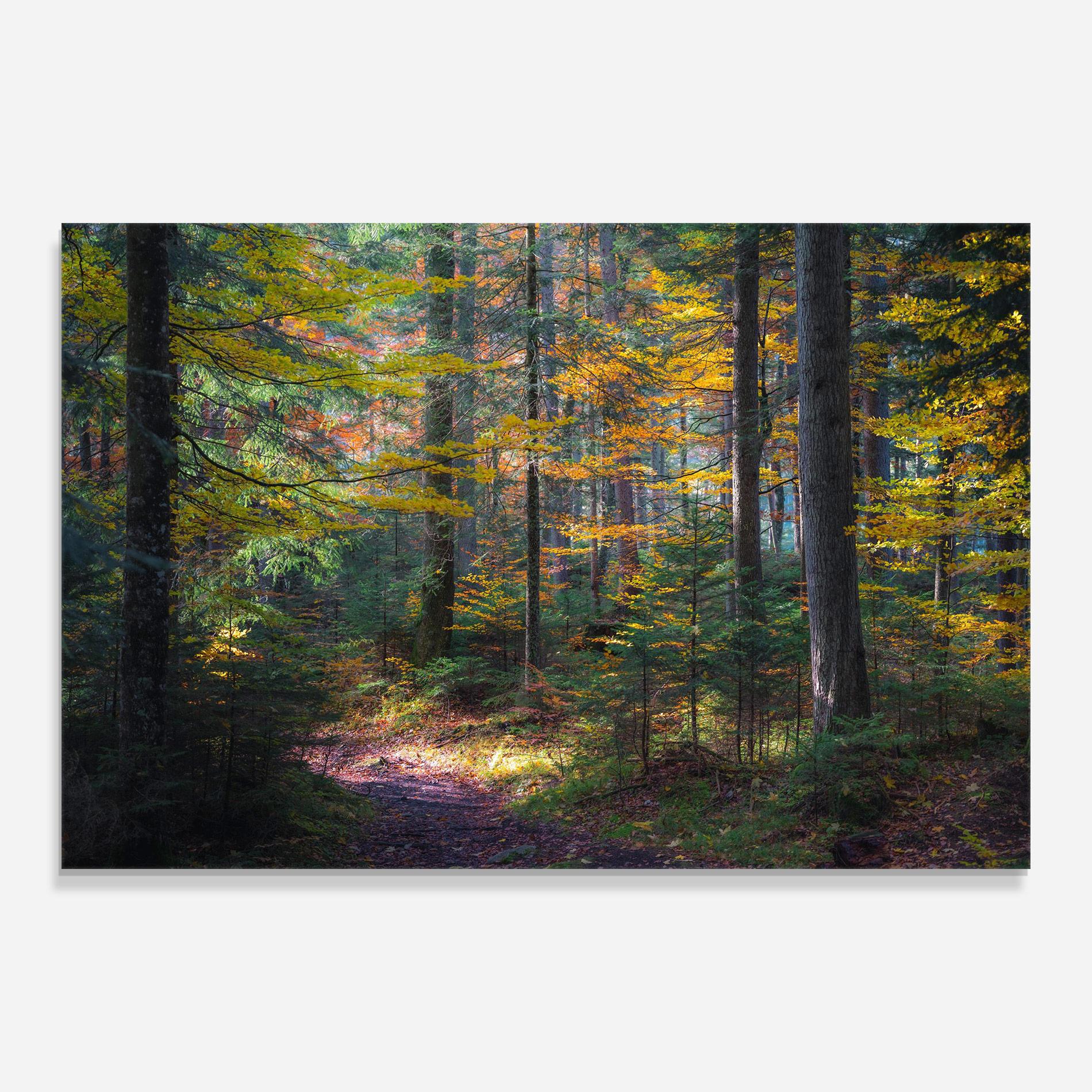 Tablou Sticla Dreamy Path Dorest mockup 0