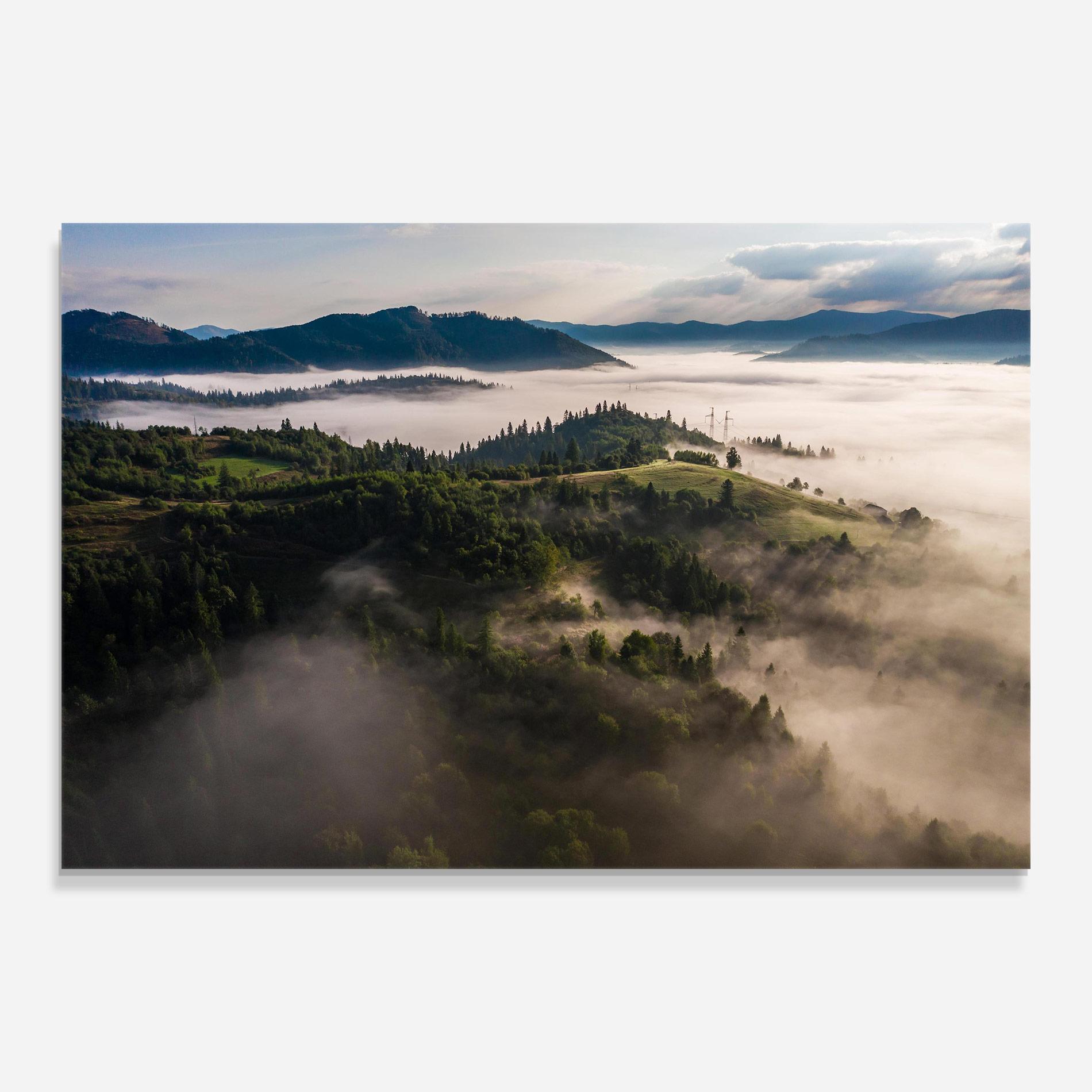 Tablou Sticla Foggy Forest View mockup 0