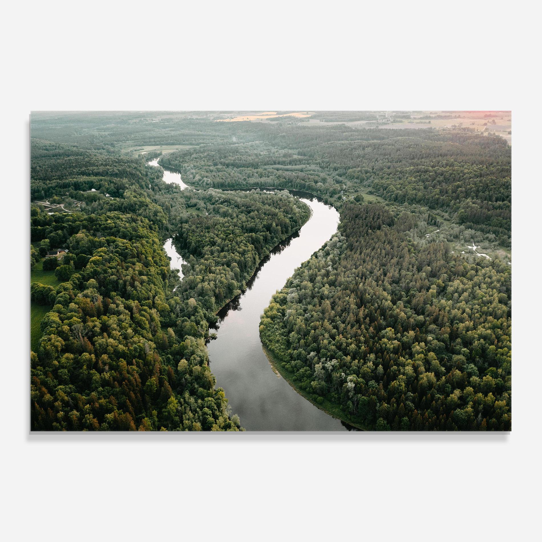 Tablou Sticla Forest Big River mockup 0