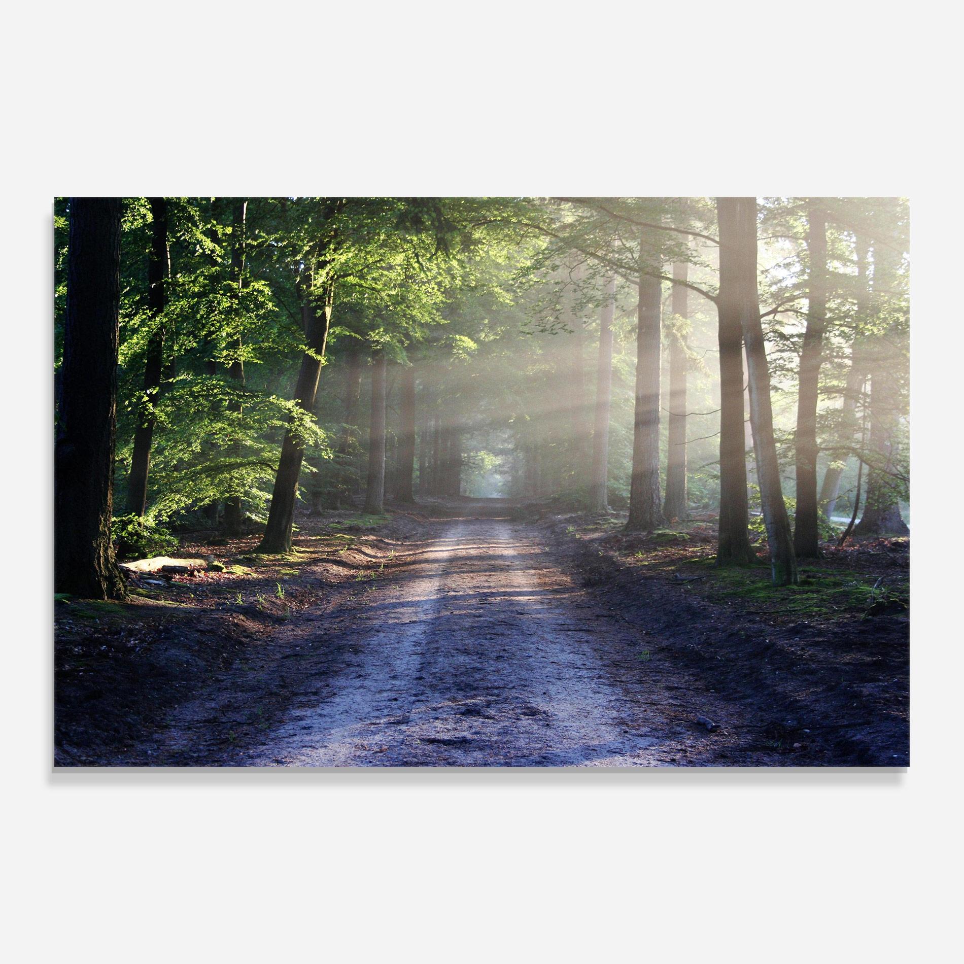 Tablou Sticla Forest Road mockup 0