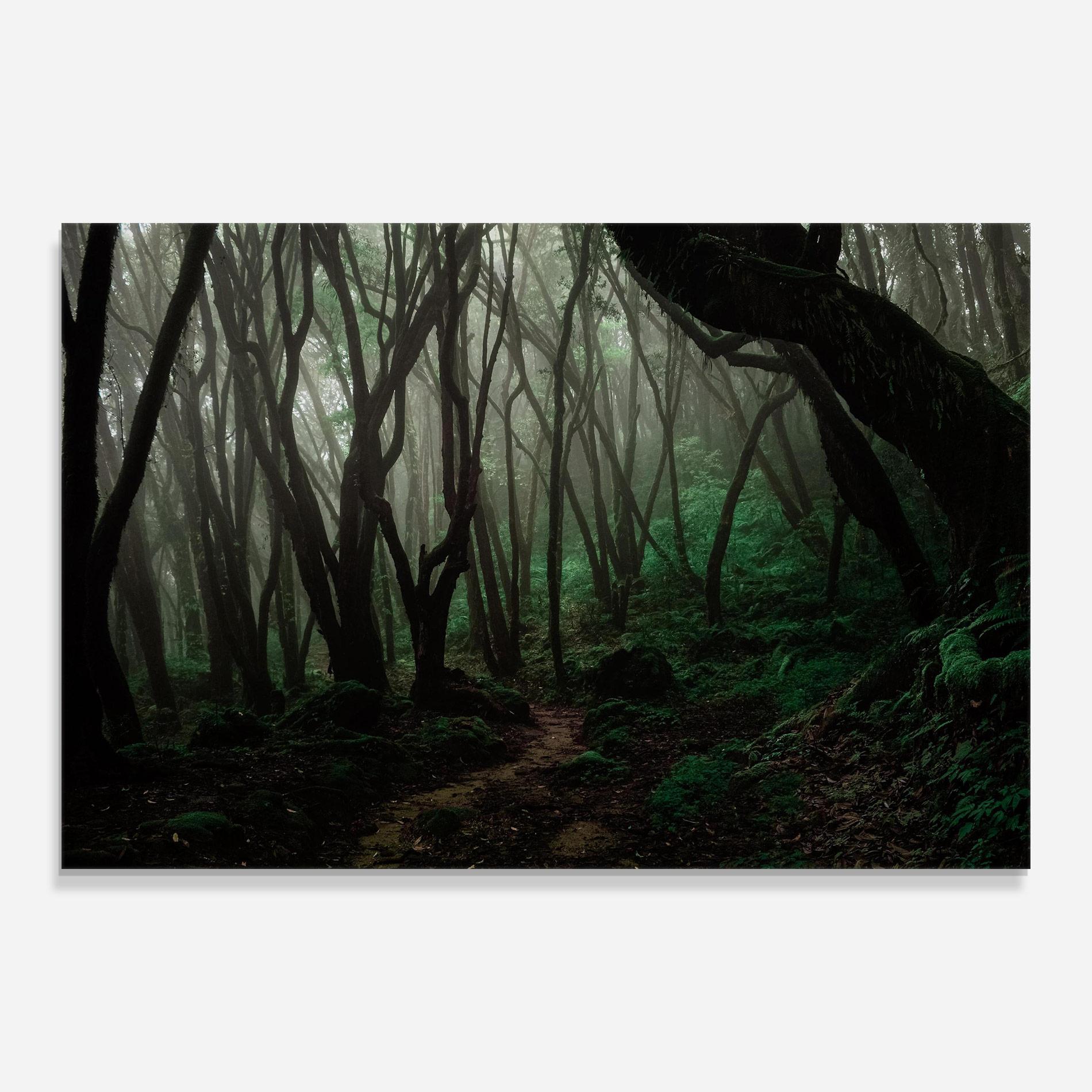 Tablou Sticla Forest Story mockup 0