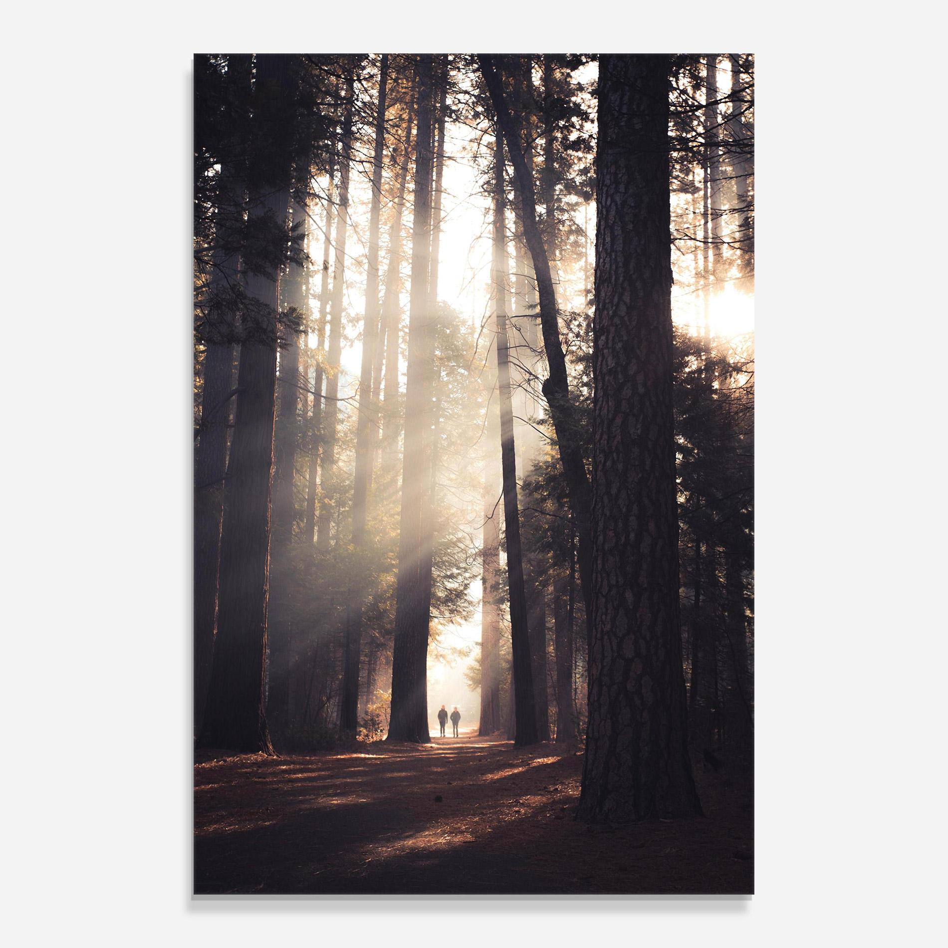 Tablou Sticla Foggy Couple Forest mockup 0