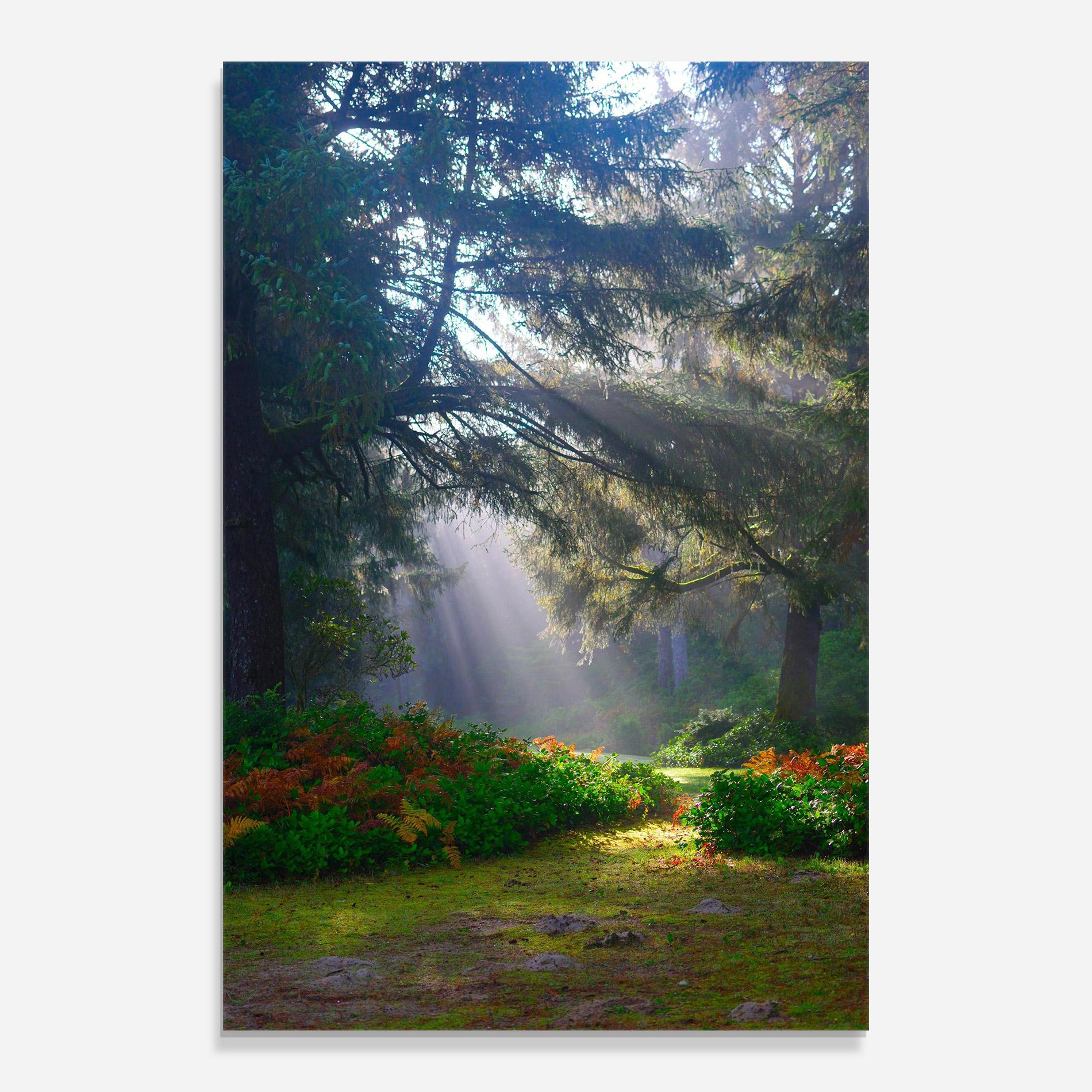 Tablou Sticla Forest Light mockup 0