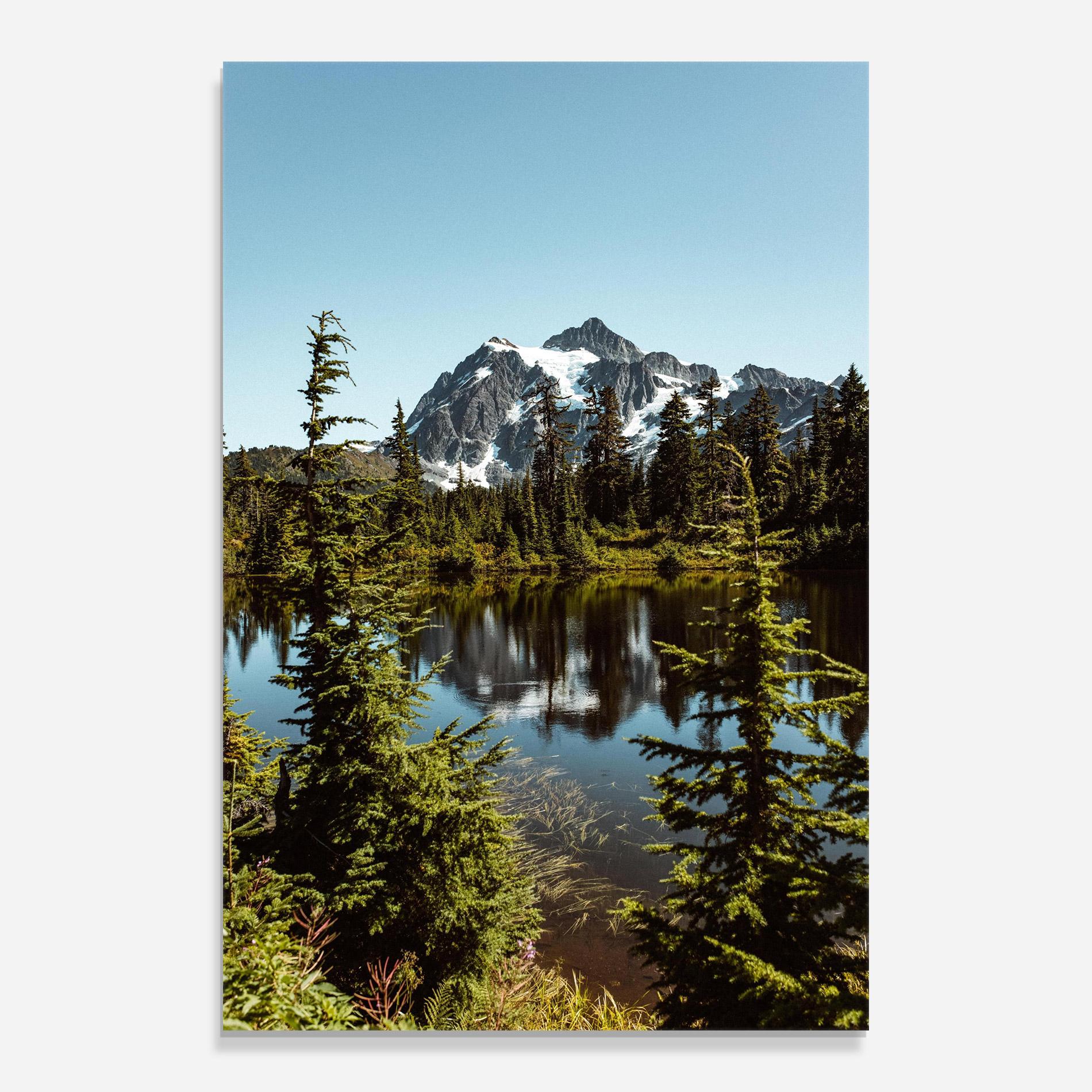 Tablou Sticla Forest Snow Mountain mockup 0