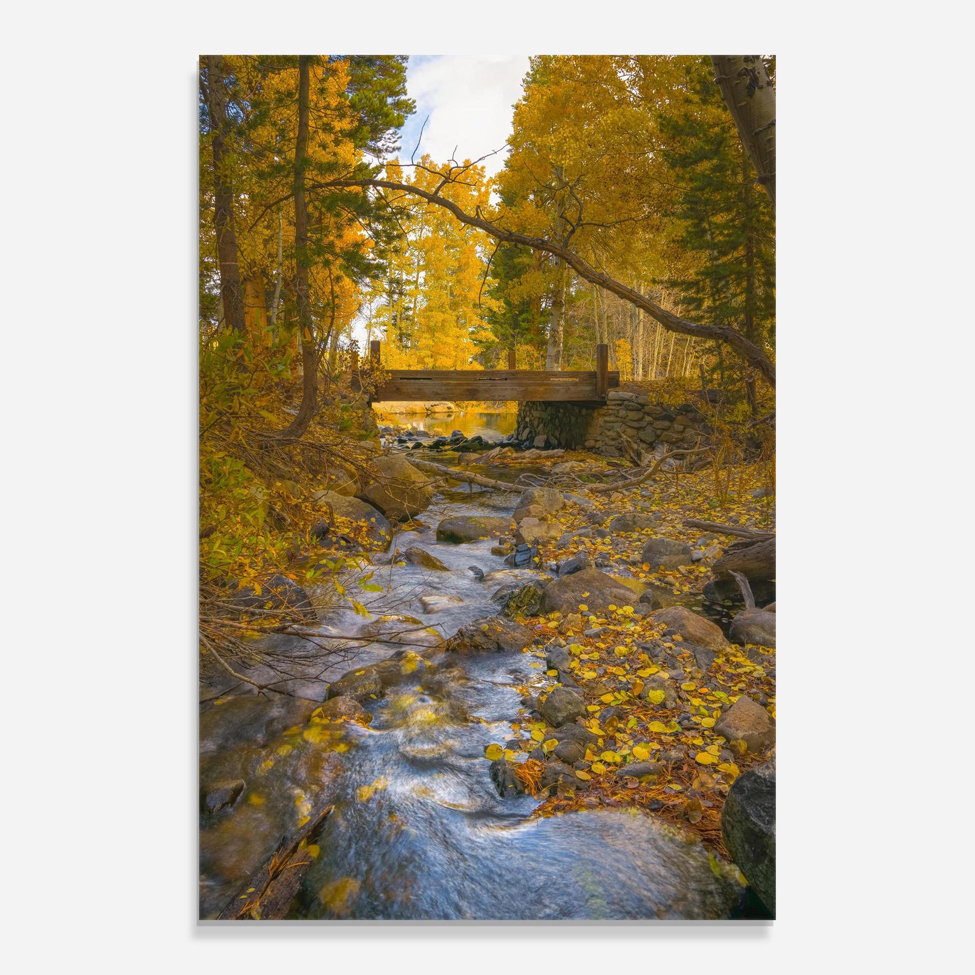 Tablou Sticla Yellow View Forest mockup 0