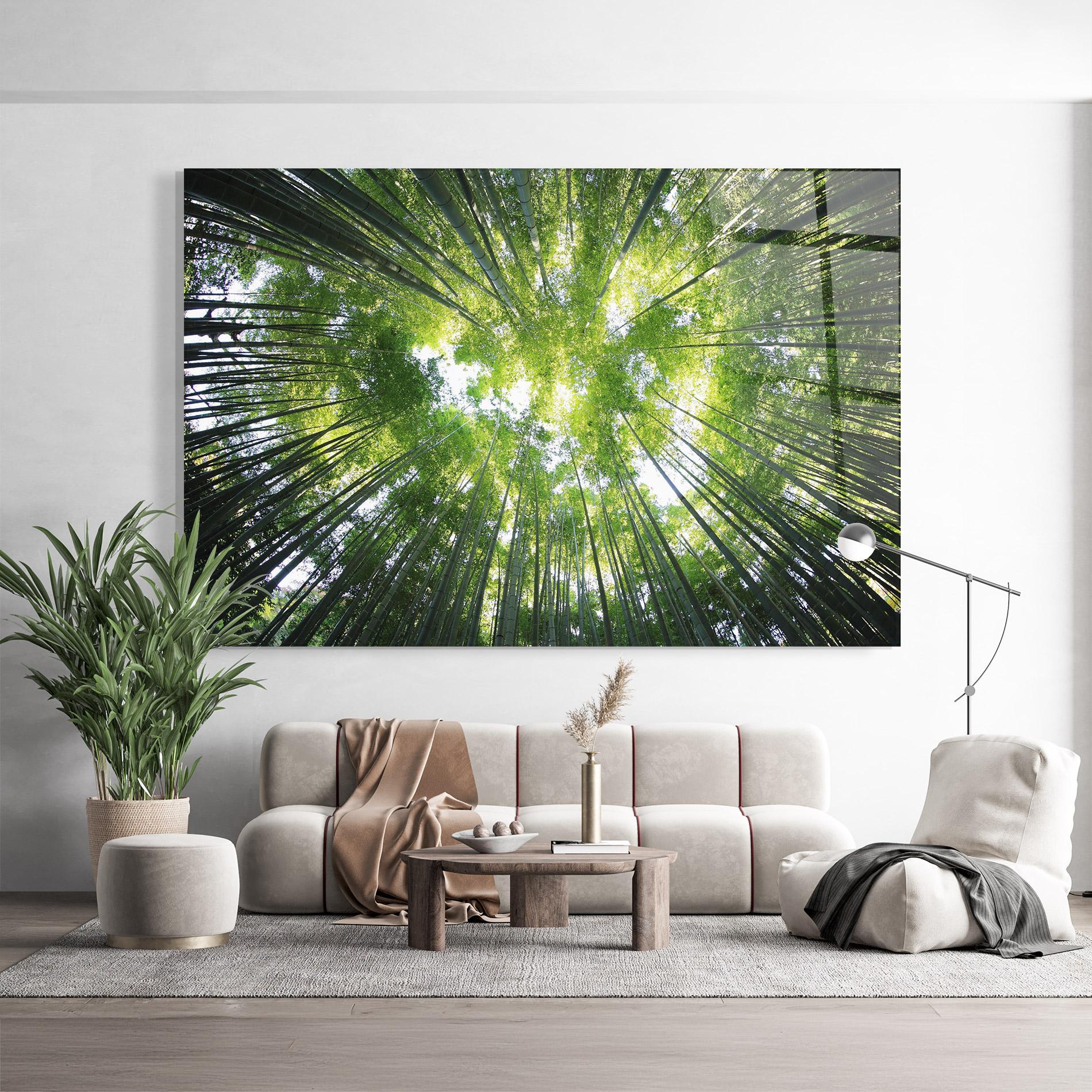 Tablou Sticla Big Trees Morning mockup 9