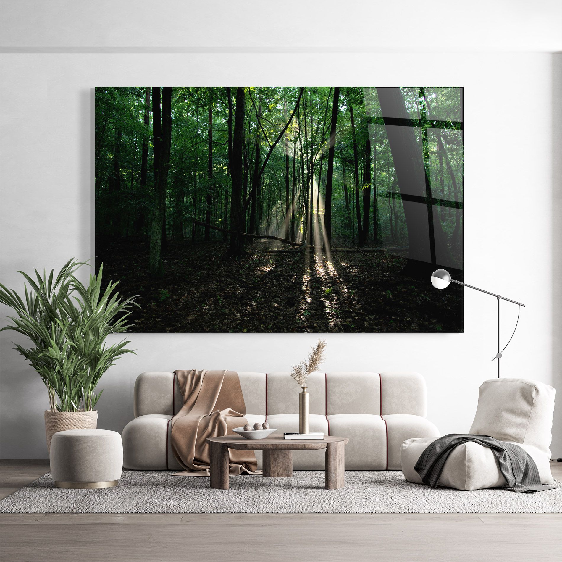 Forest Sun Light mockup 9