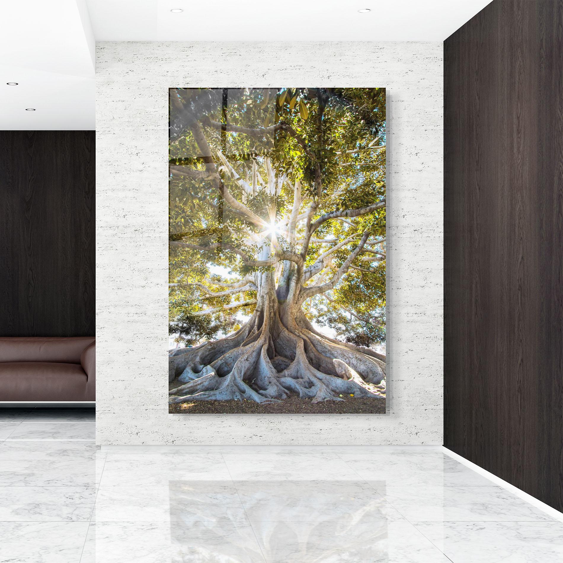 Tablou Sticla Big Old Tree mockup 9
