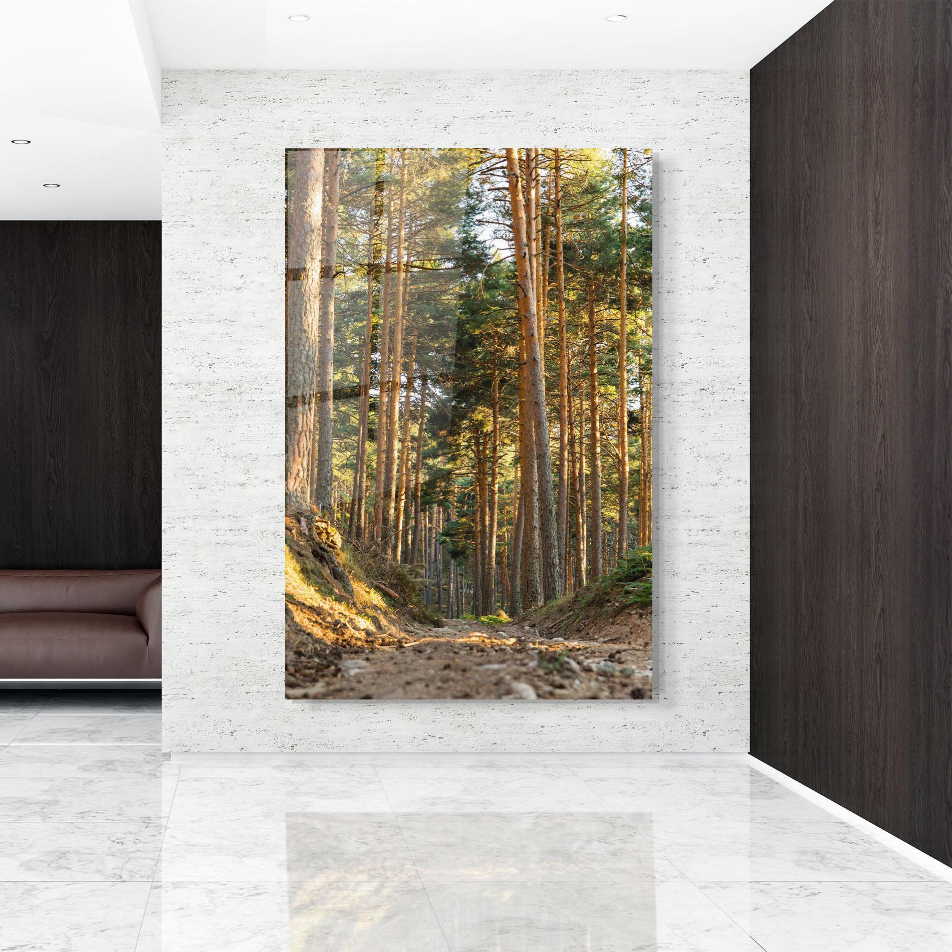 Tablou Sticla Big Trees Forest mockup 9