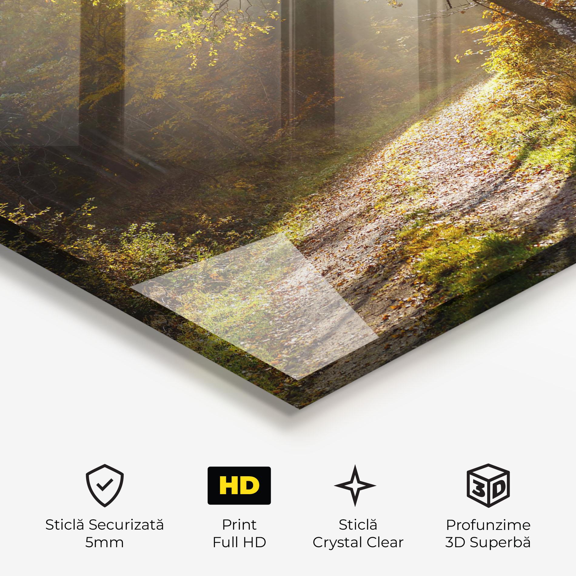 Tablou Sticla Autumn Trees Sun mockup 3