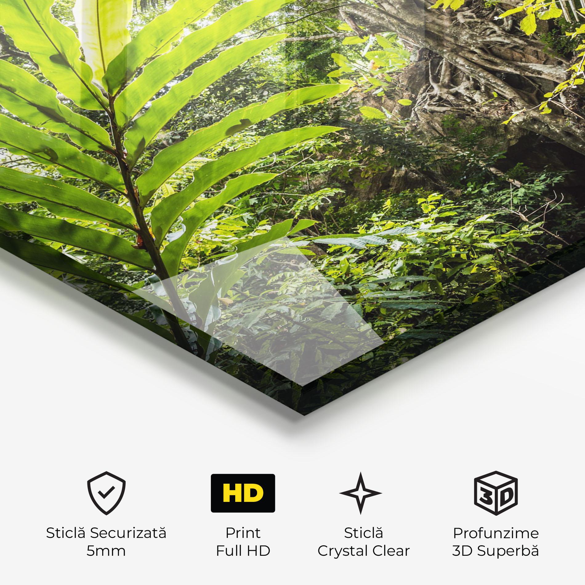 Tablou Sticla Big Leaf Forest mockup 3