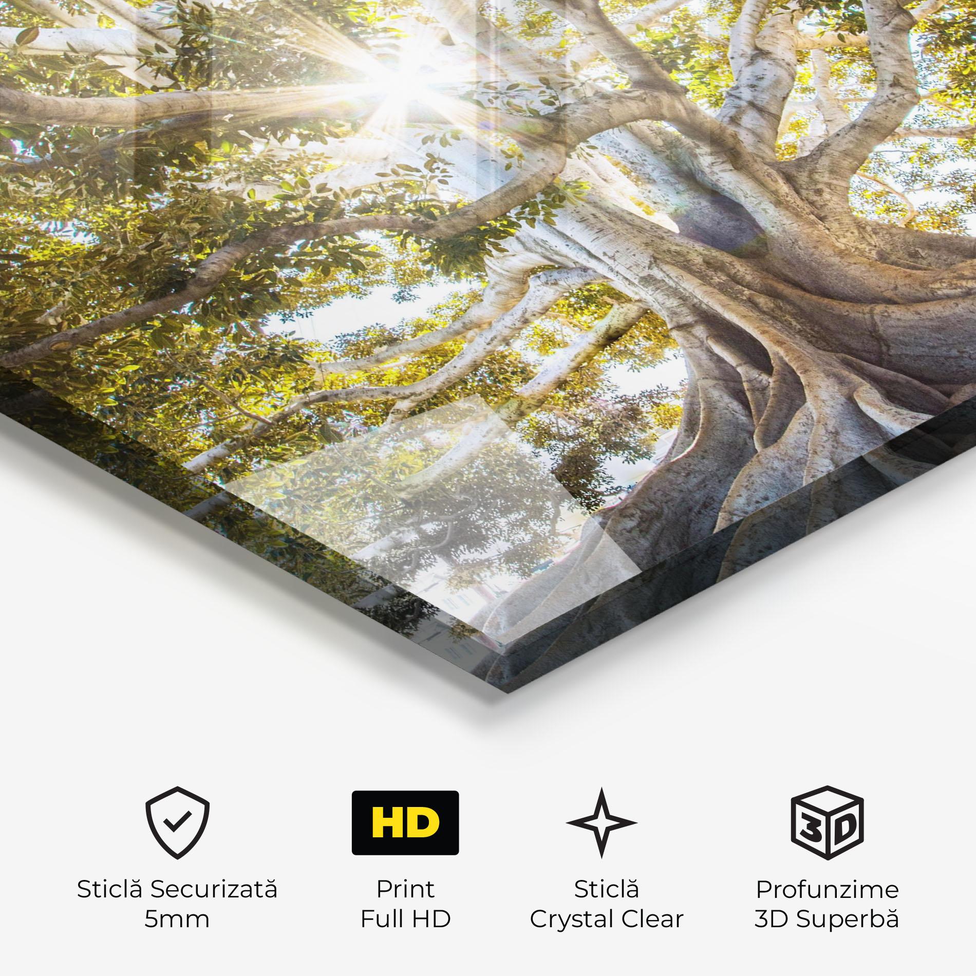 Tablou Sticla Big Old Tree mockup 3