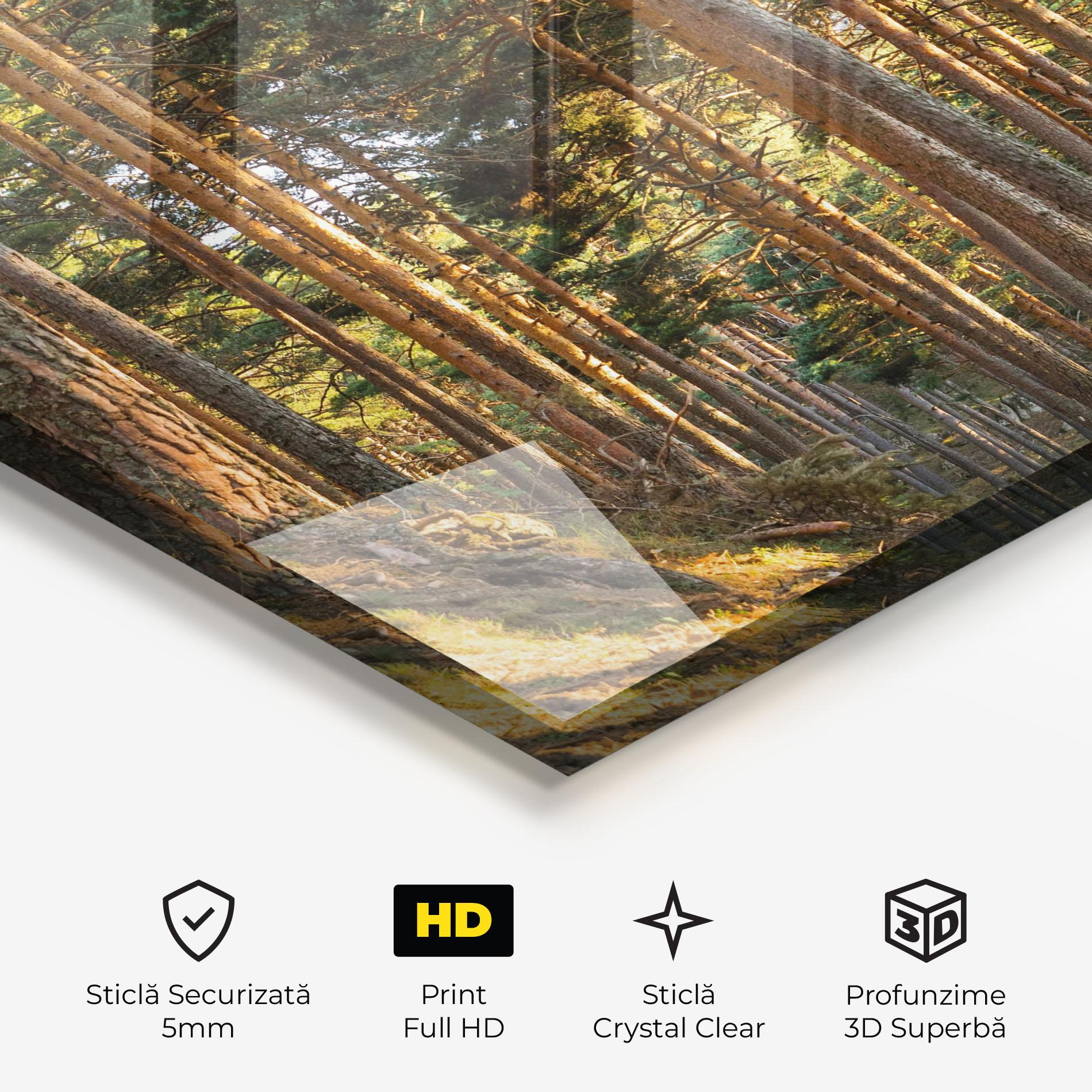 Tablou Sticla Big Trees Forest mockup 3