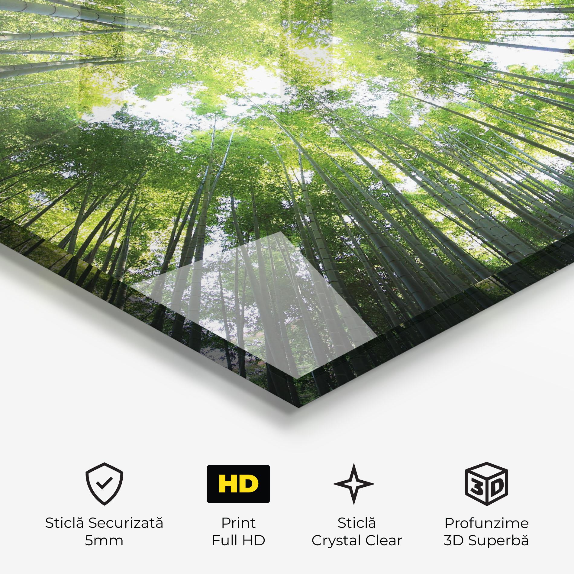 Tablou Sticla Big Trees Morning mockup 3