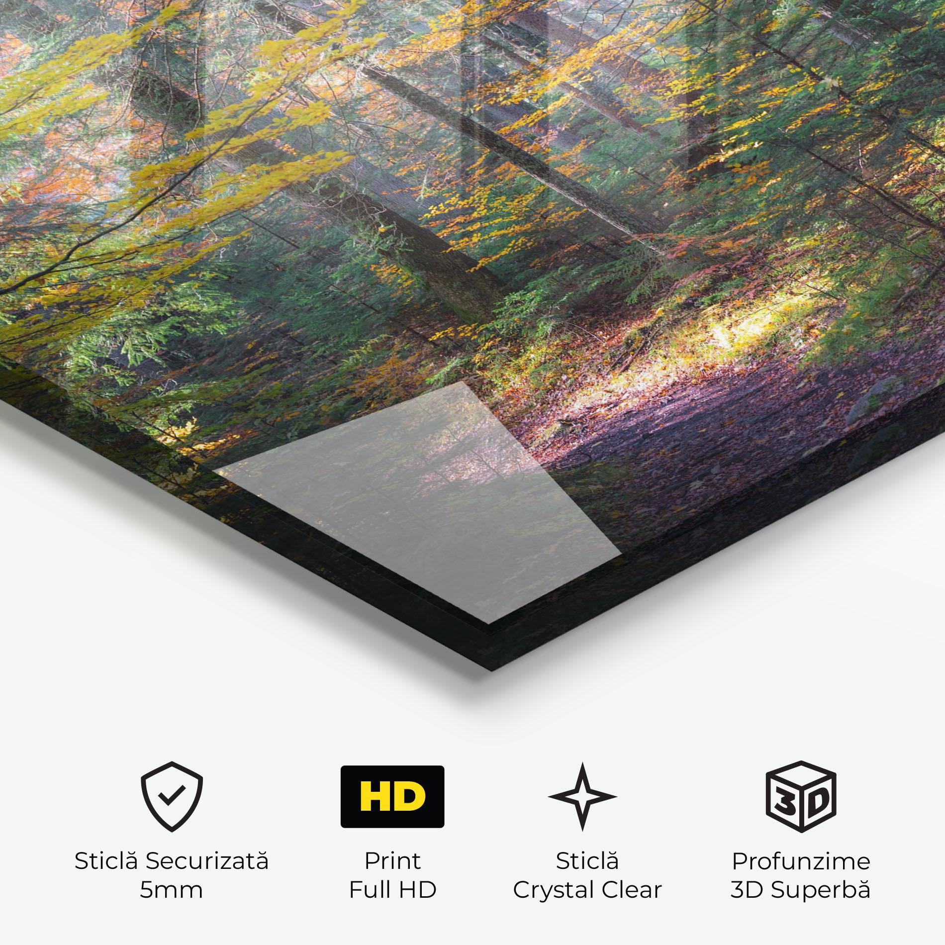 Tablou Sticla Dreamy Path Dorest mockup 3