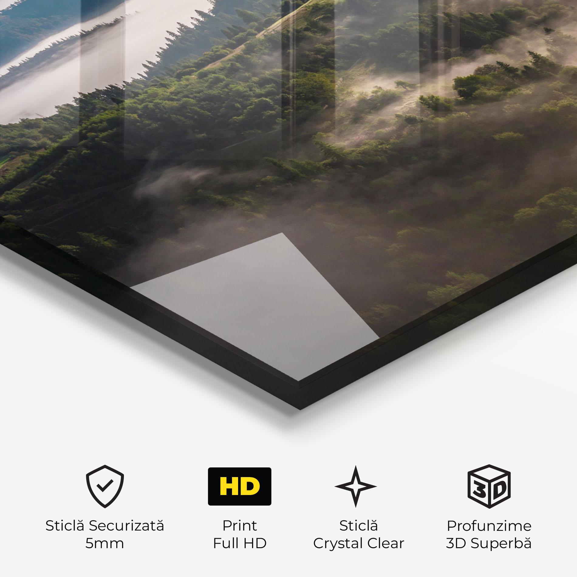 Tablou Sticla Foggy Forest View mockup 3