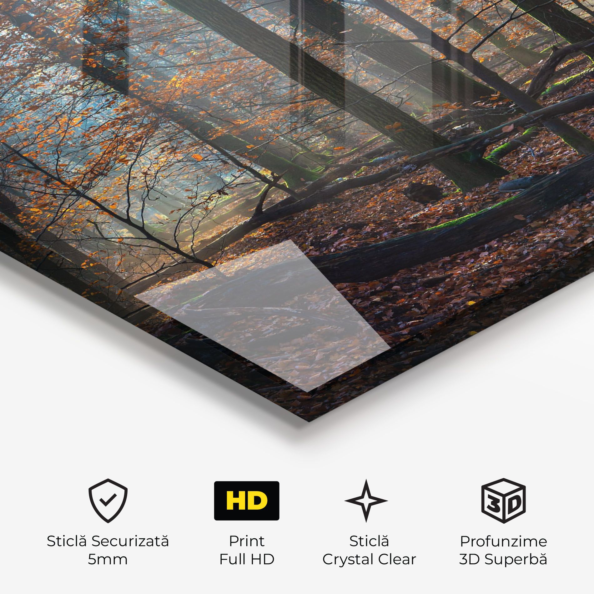 Forest Autumn Day mockup 3