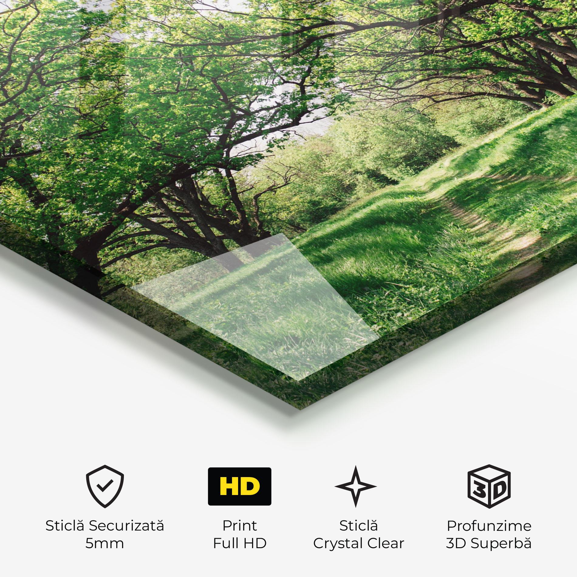 Tablou Sticla Forest Green Path mockup 3