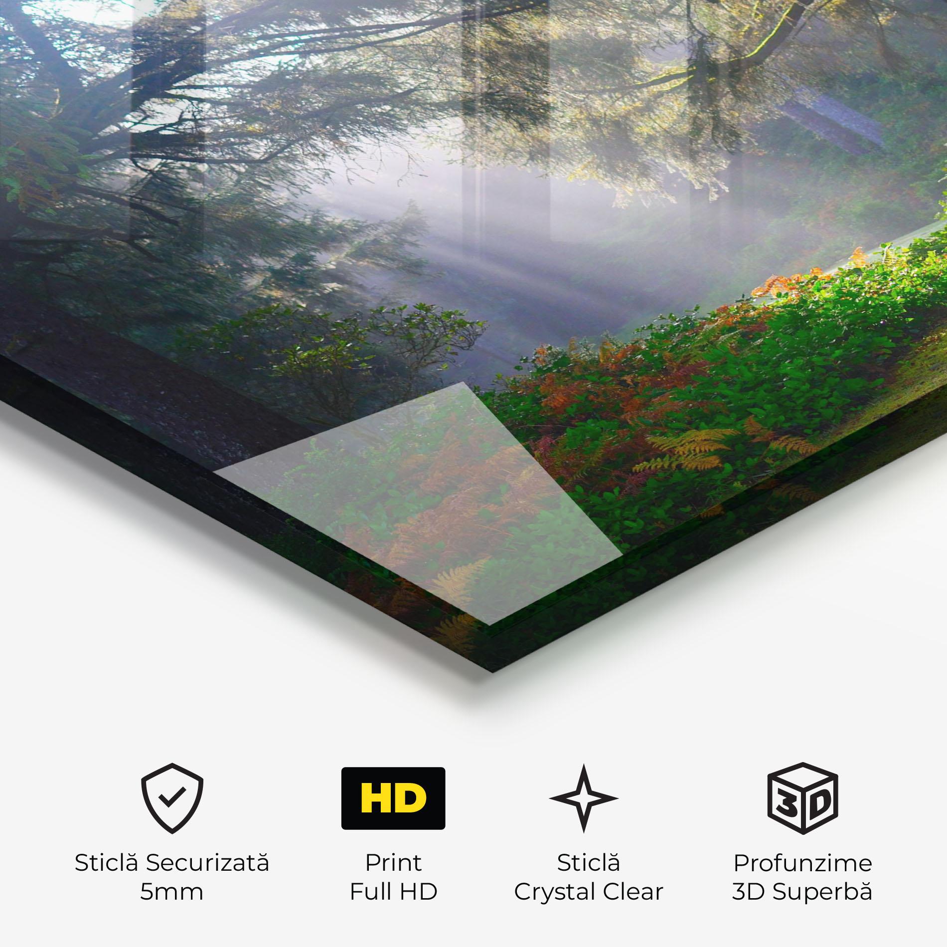 Tablou Sticla Forest Light mockup 3