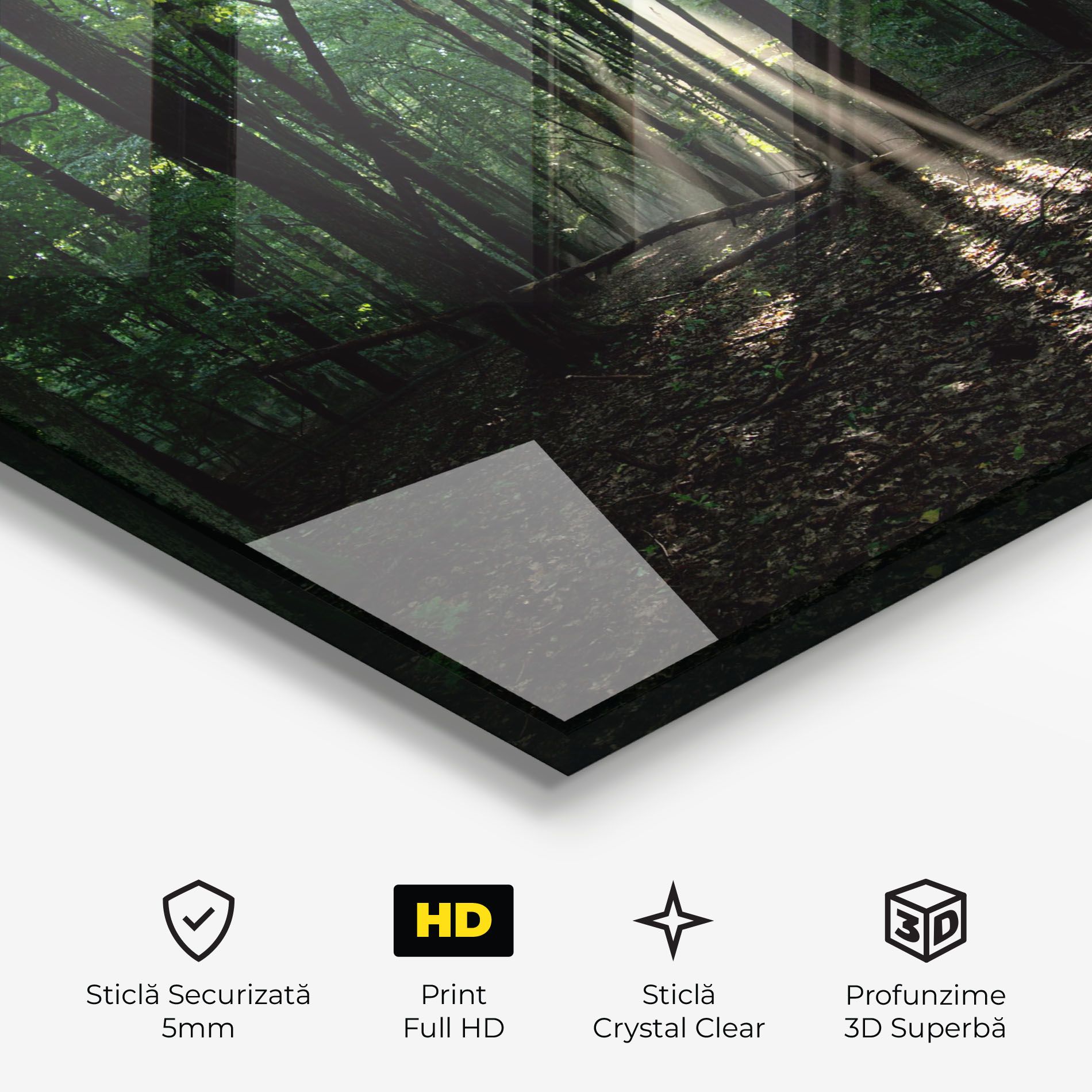 Forest Sun Light mockup 3