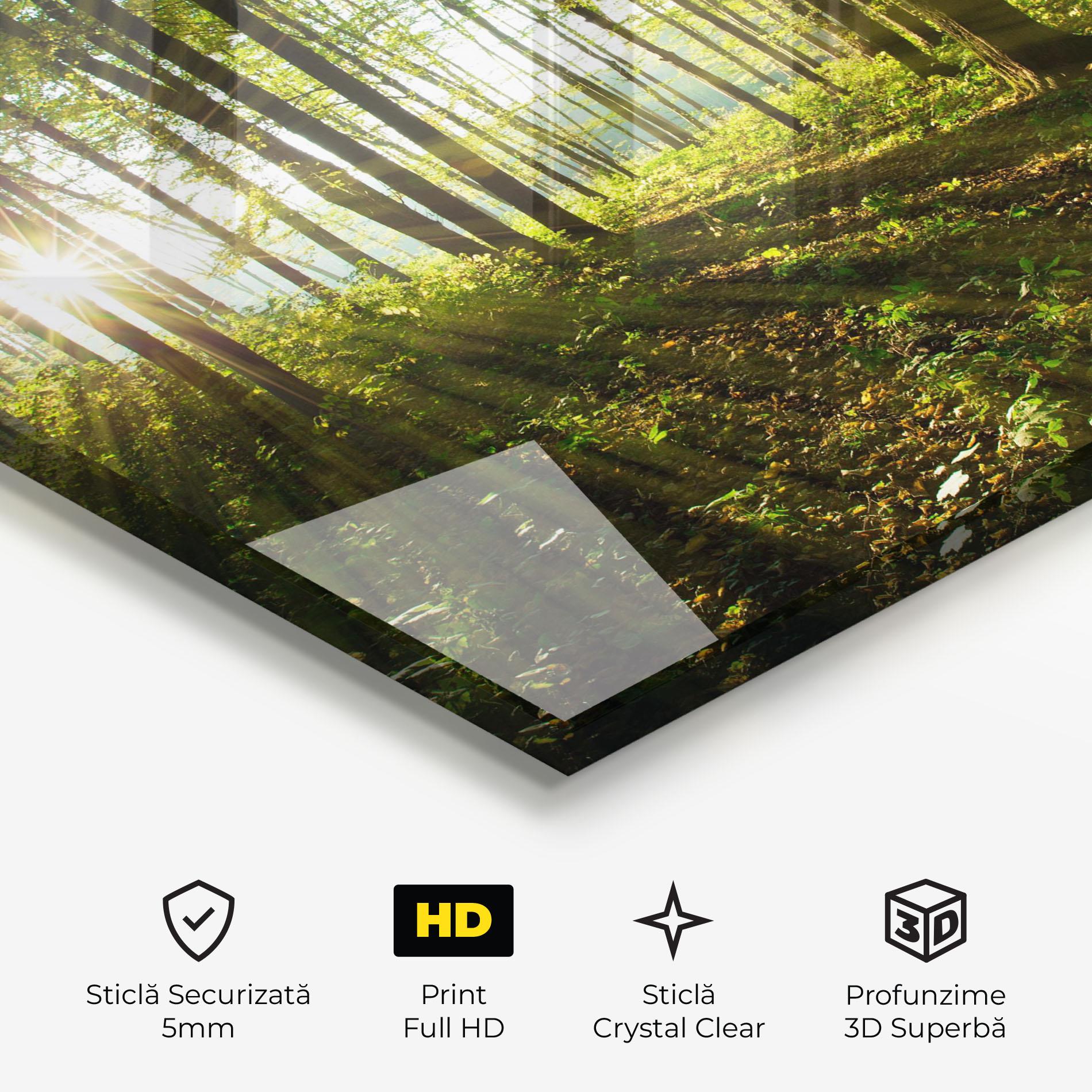 Tablou Sticla Green Light Forest mockup 3