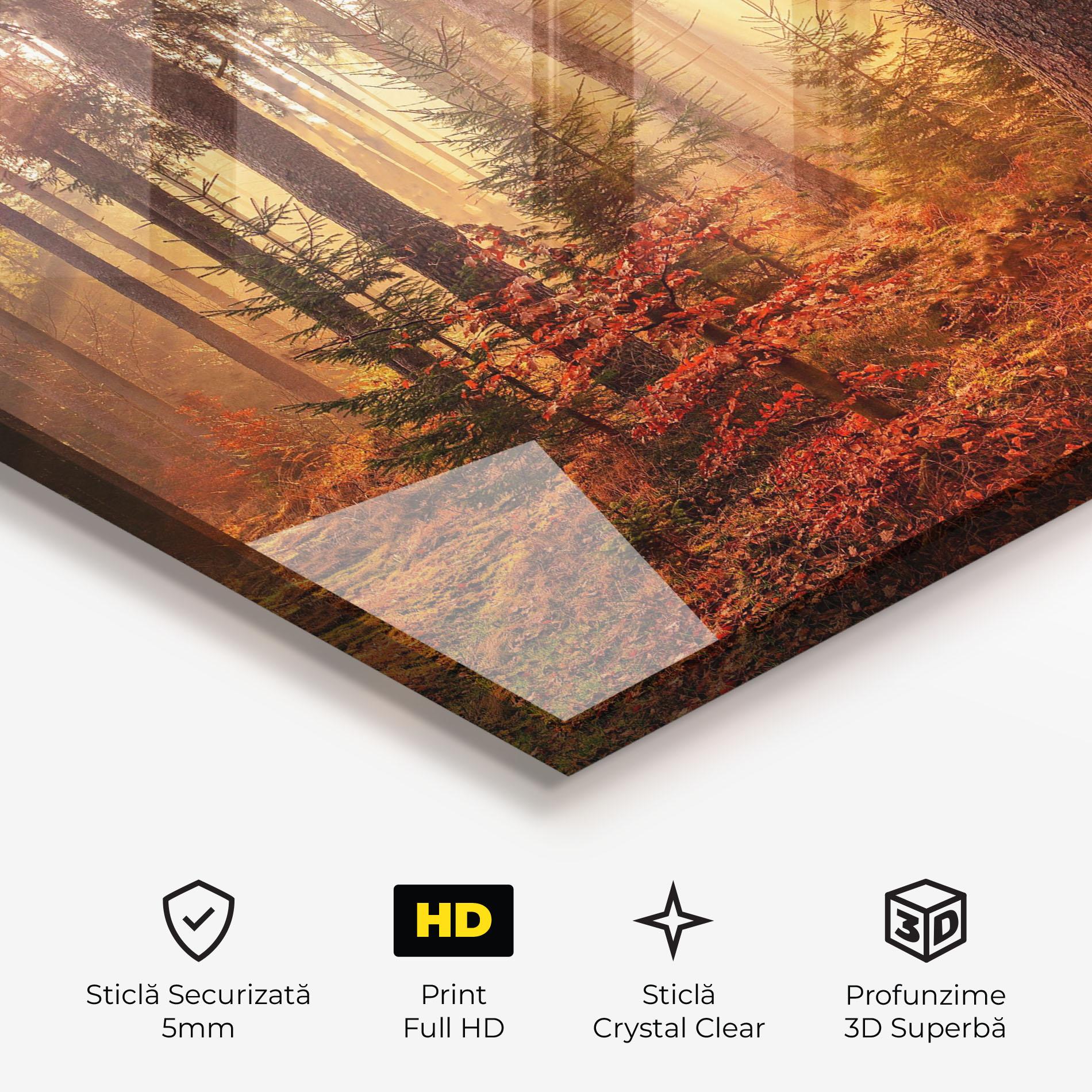 Tablou Sticla Orange Light Forest mockup 3
