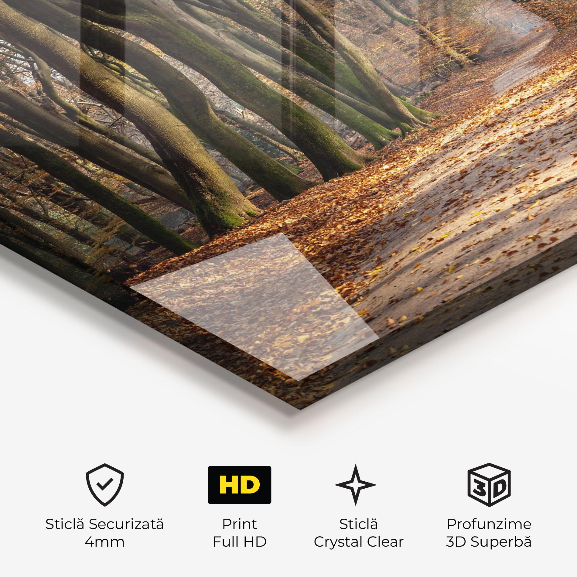 Tablou Sticla Autumn Path Forest mockup 3