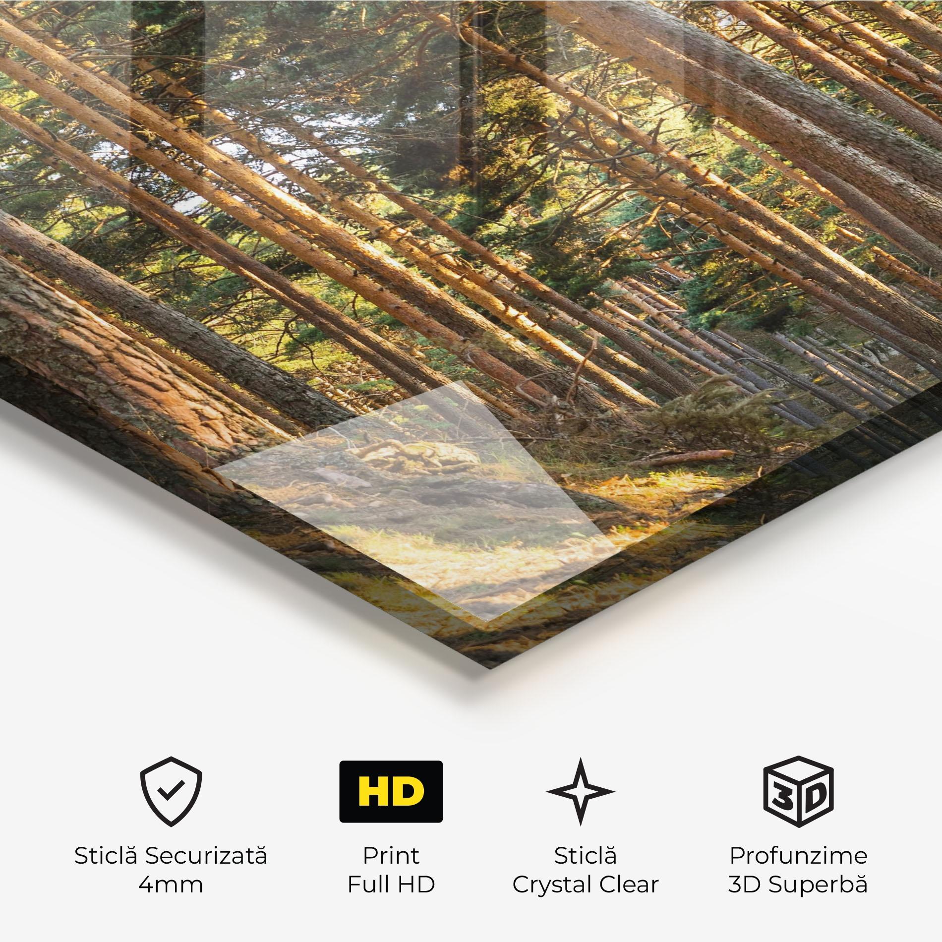 Tablou Sticla Big Trees Forest mockup 3