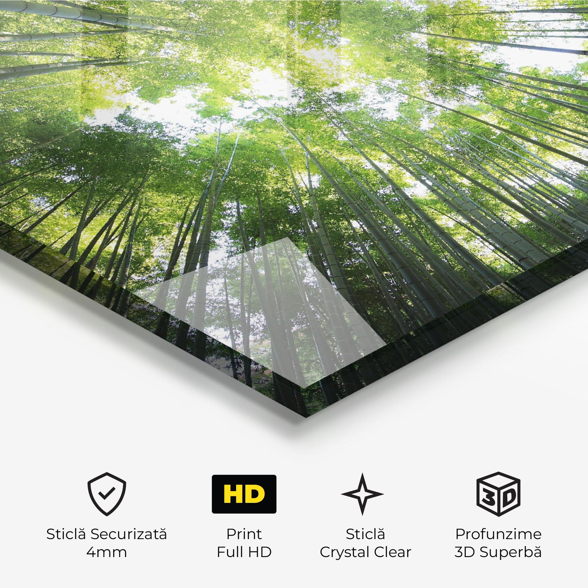 Tablou Sticla Big Trees Morning mockup 3