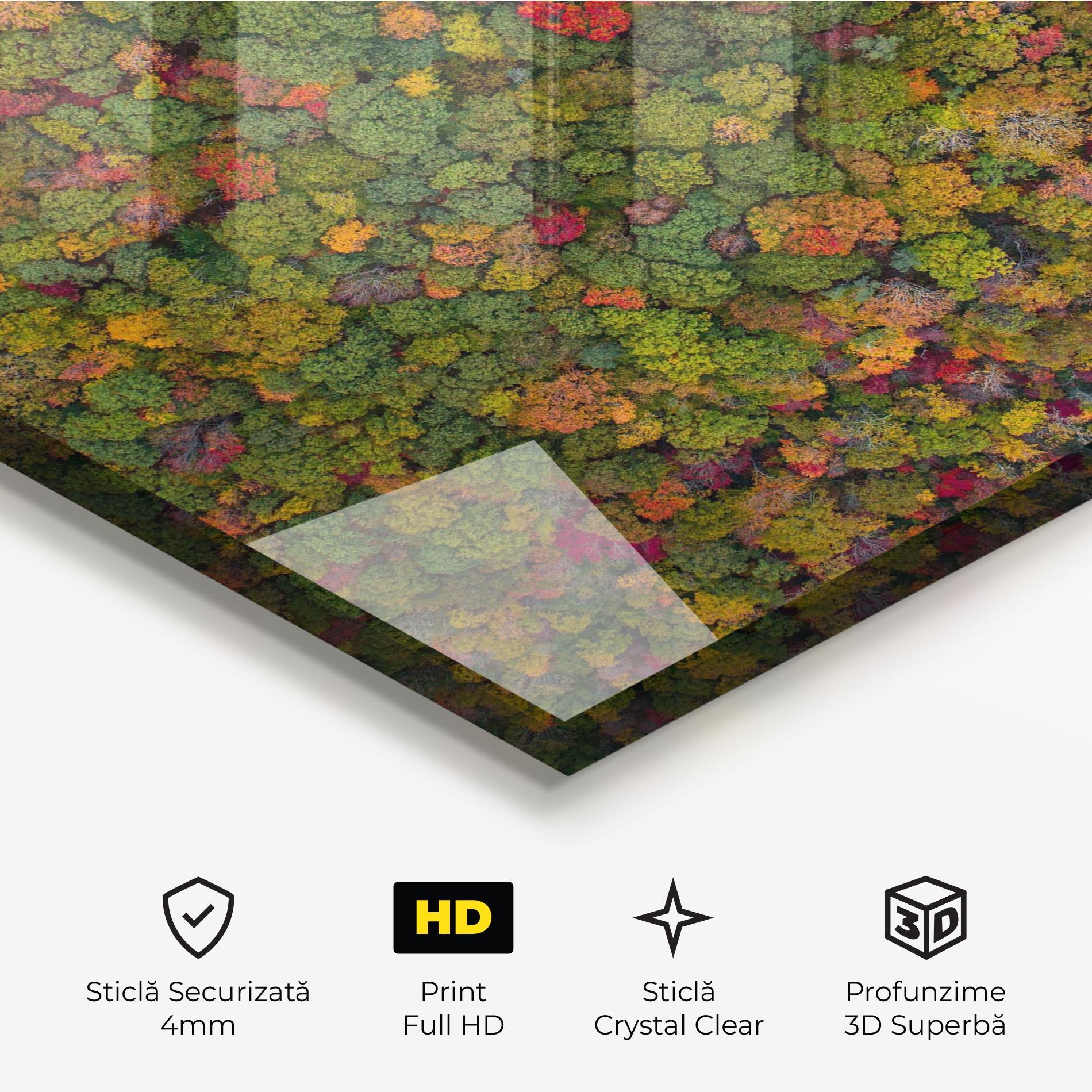 Tablou Sticla Color Mix Forest mockup 3