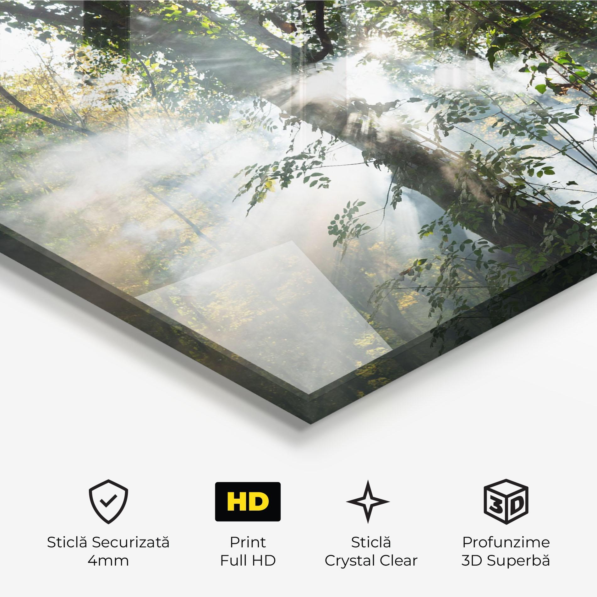 Tablou Sticla Foggy Light Forest mockup 3