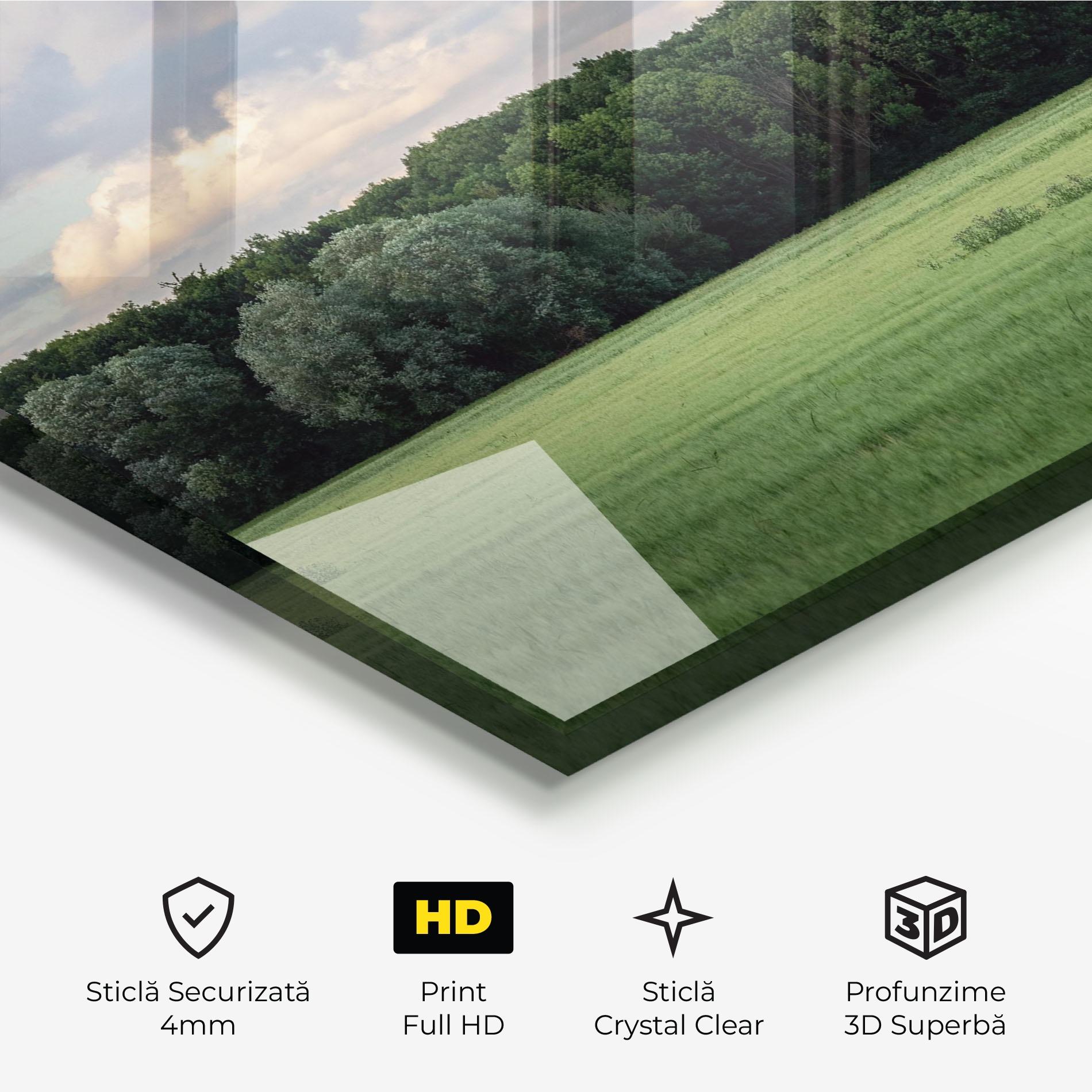 Tablou Sticla Forest Field mockup 3