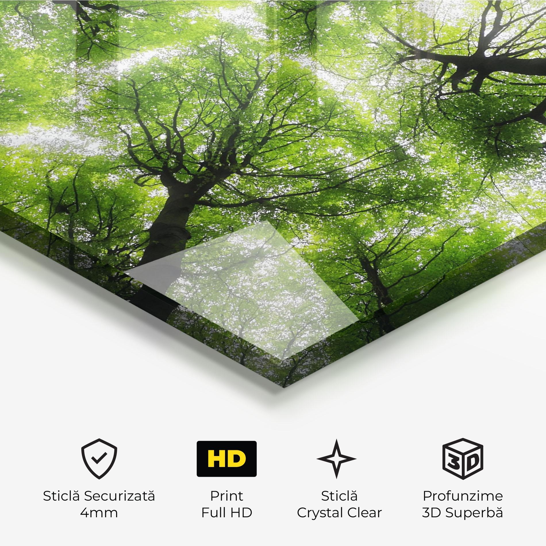Tablou Sticla Forest Green Tree mockup 3