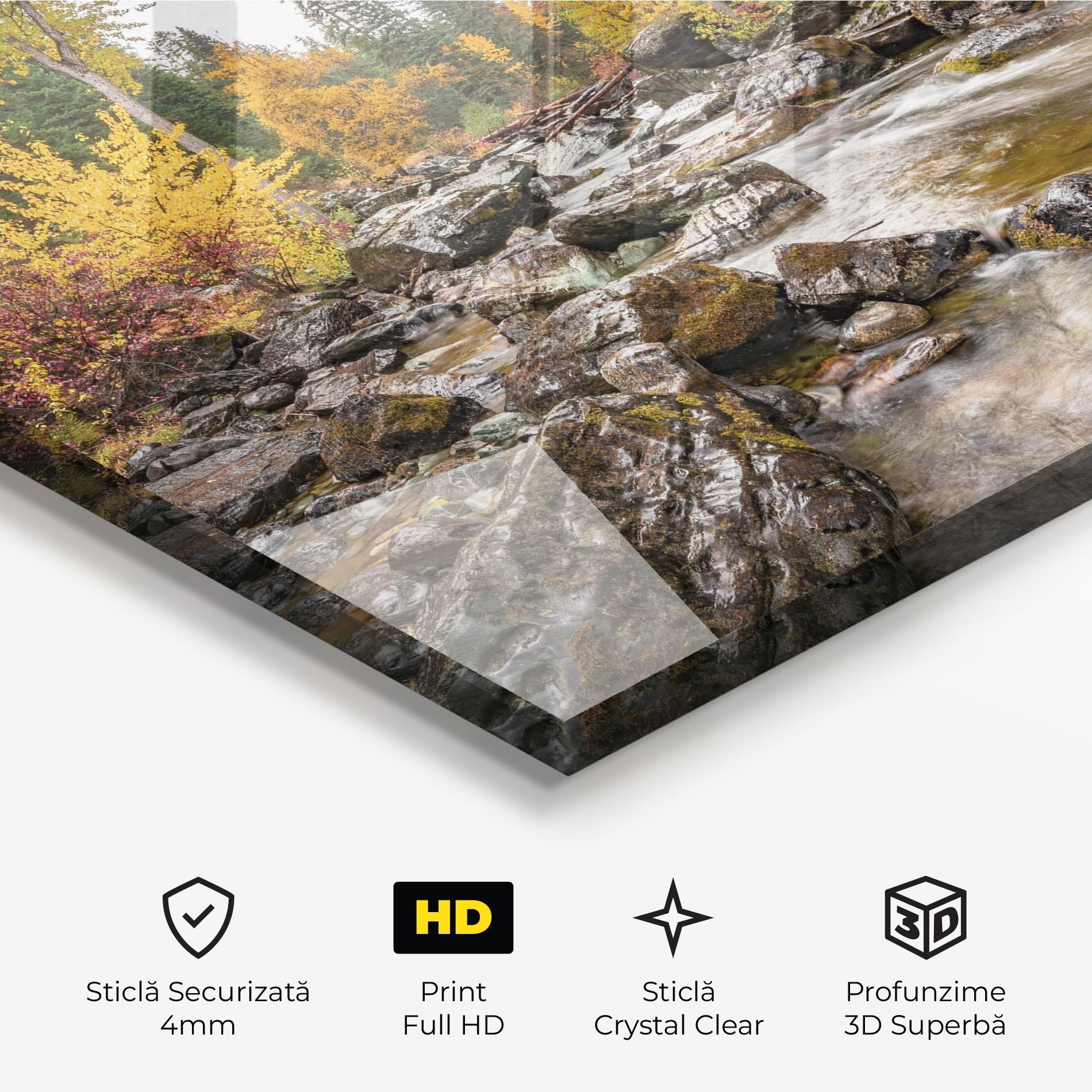 Tablou Sticla Forest Lake Rocks mockup 3
