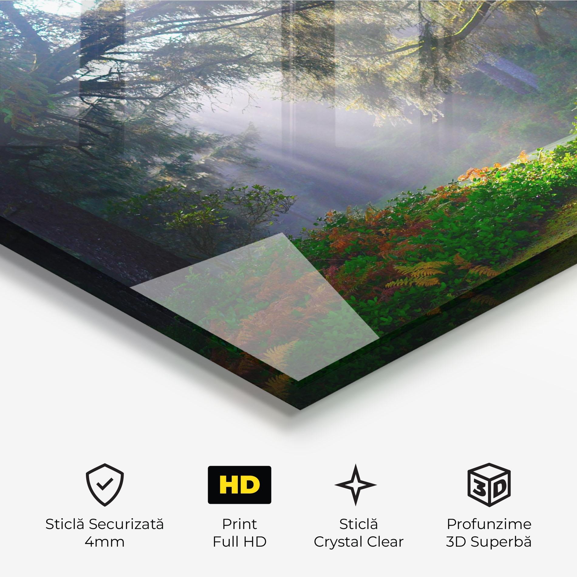 Tablou Sticla Forest Light mockup 3