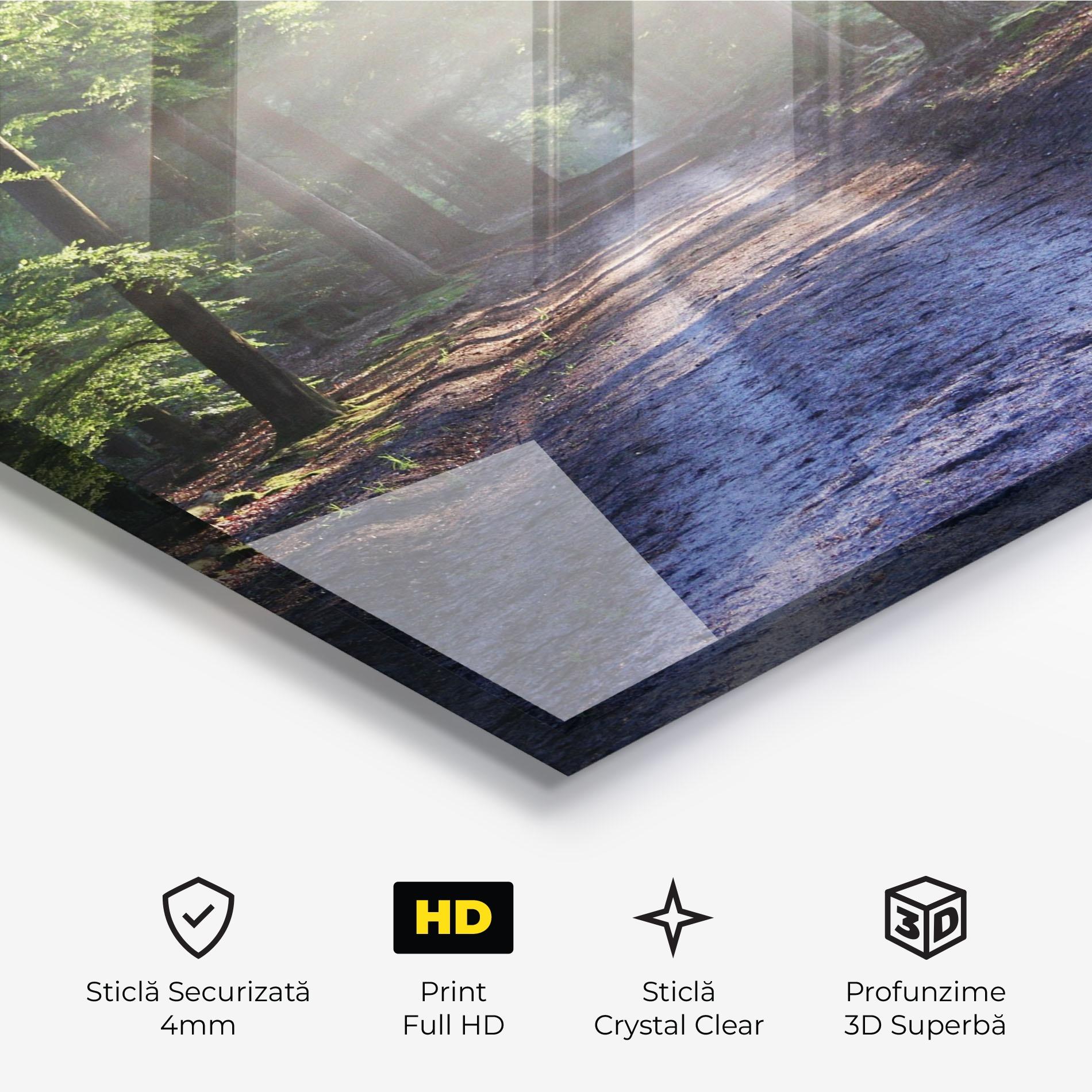 Tablou Sticla Forest Road mockup 3