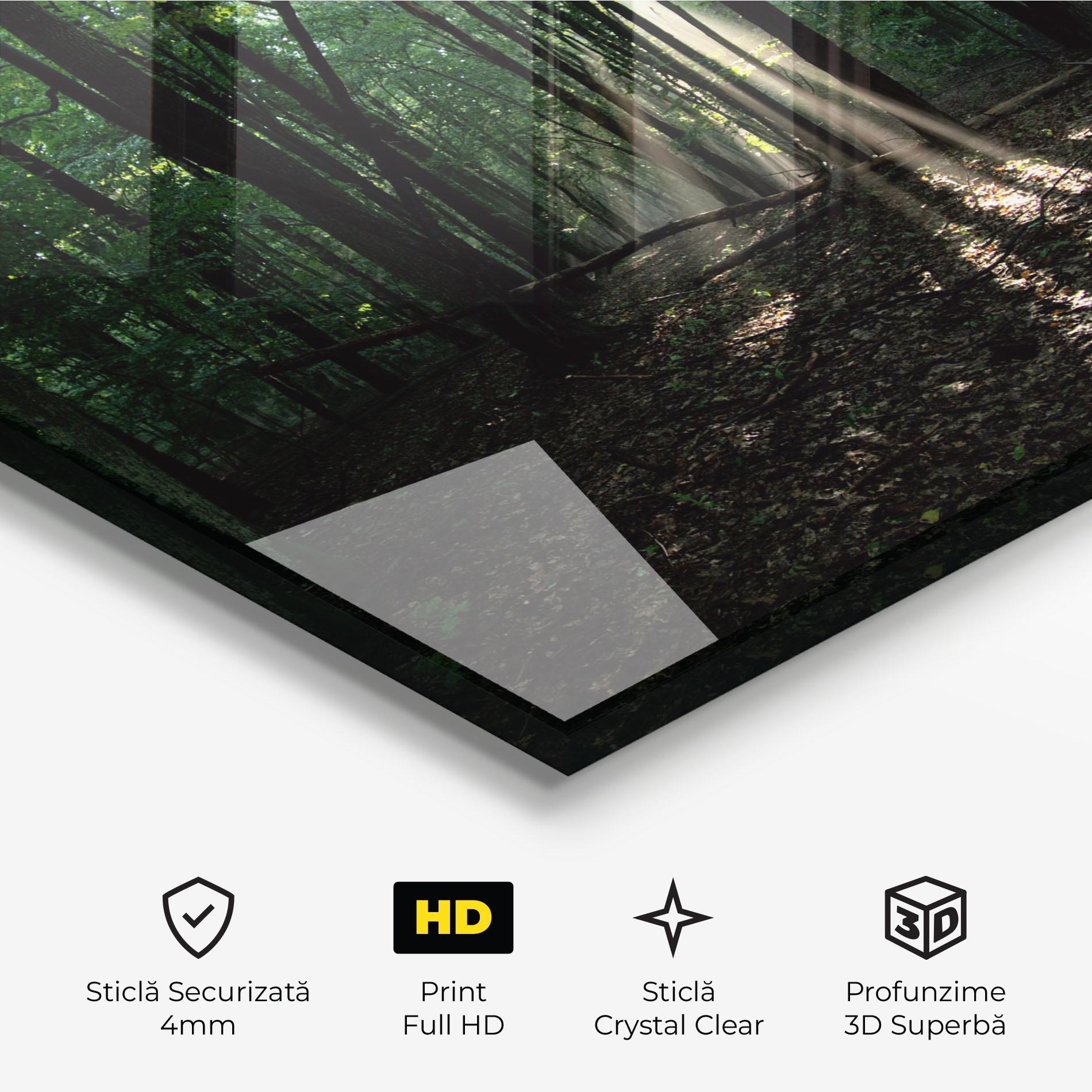 Tablou Sticla Forest Sun Light mockup 3