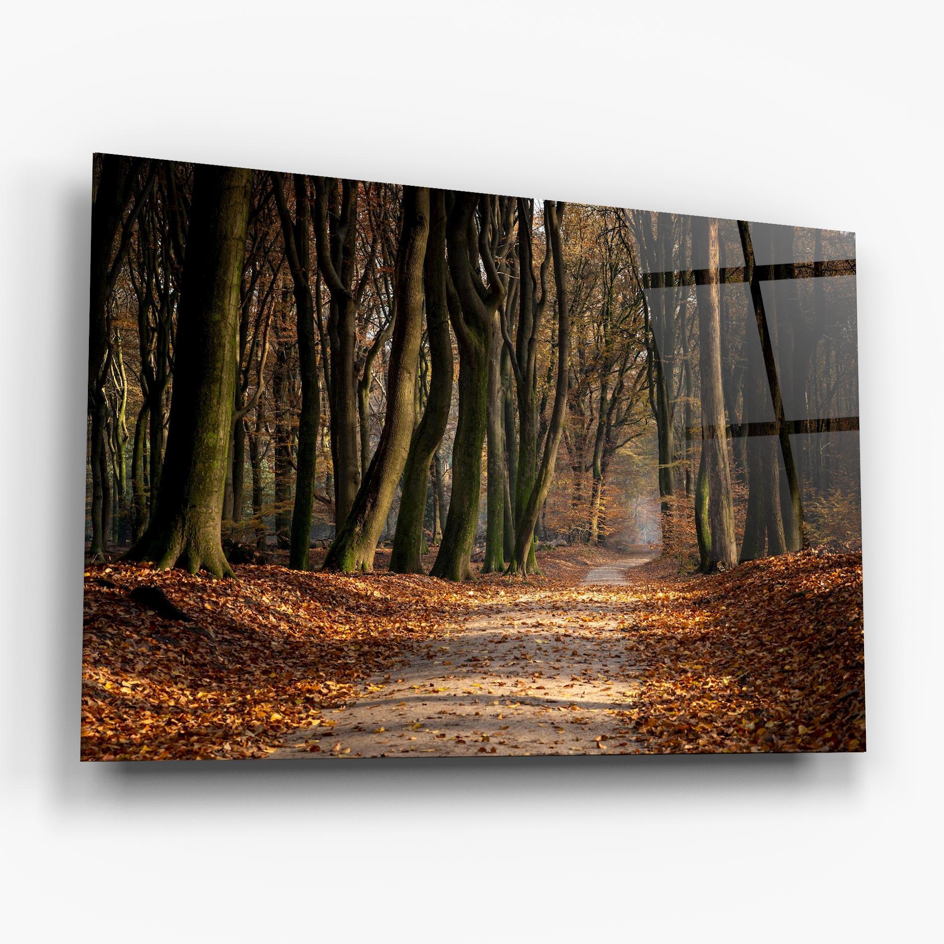 Tablou Sticla Autumn Path Forest mockup 6