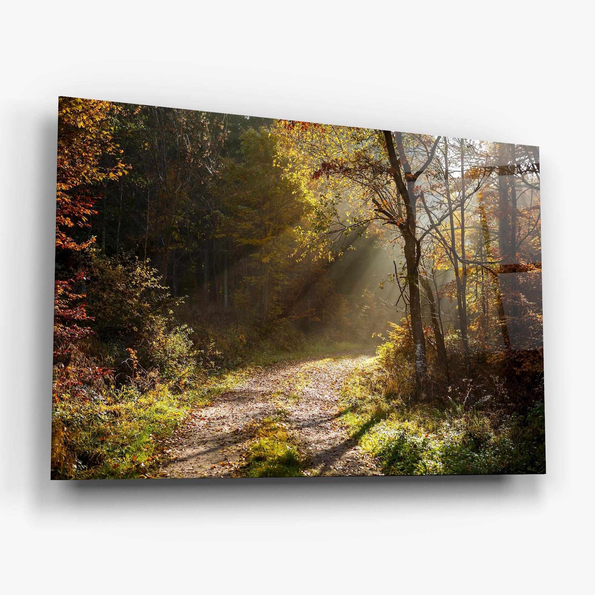 Tablou Sticla Autumn Trees Sun mockup 6