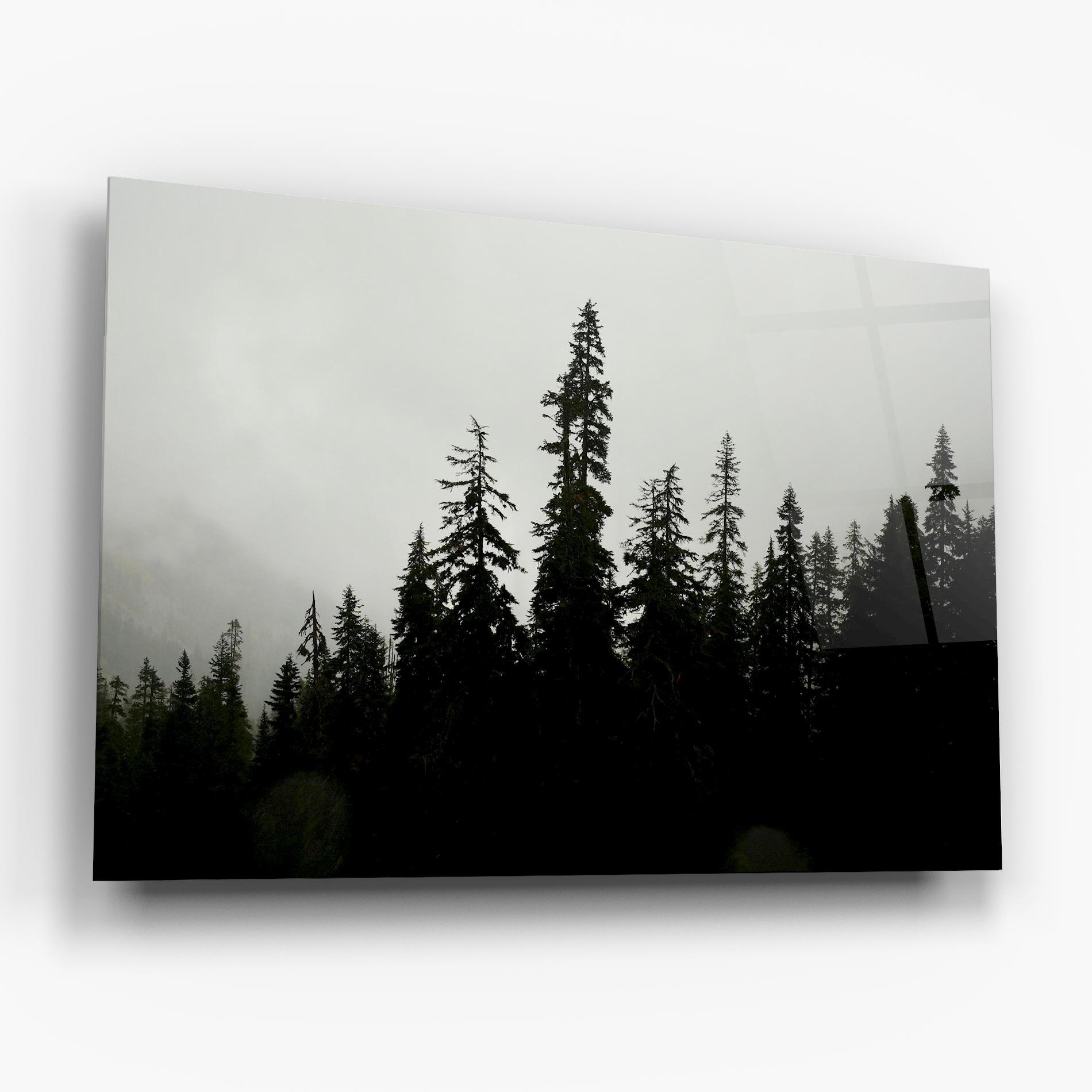 Tablou Sticla Black Tree Forest mockup 6