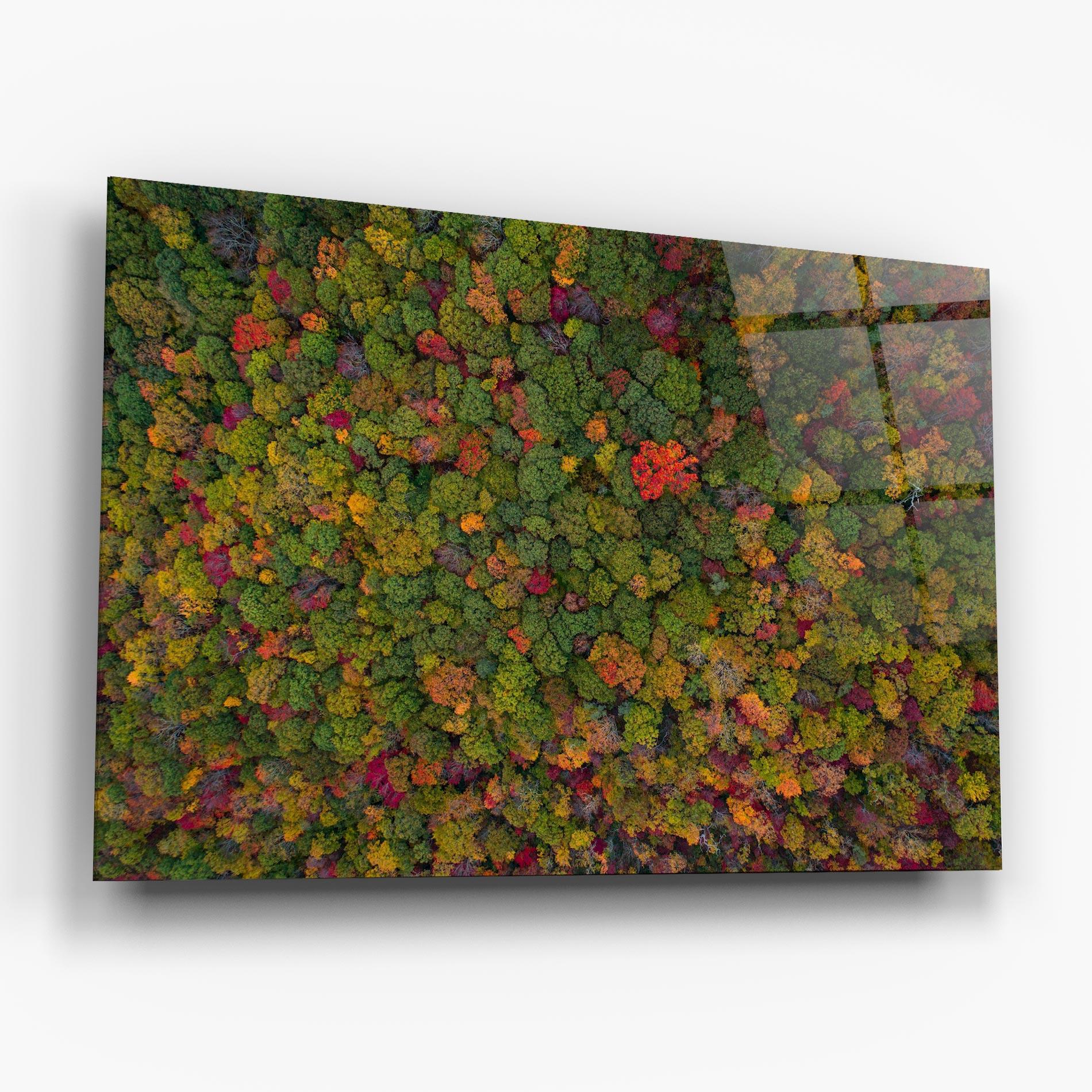 Tablou Sticla Color Mix Forest mockup 6