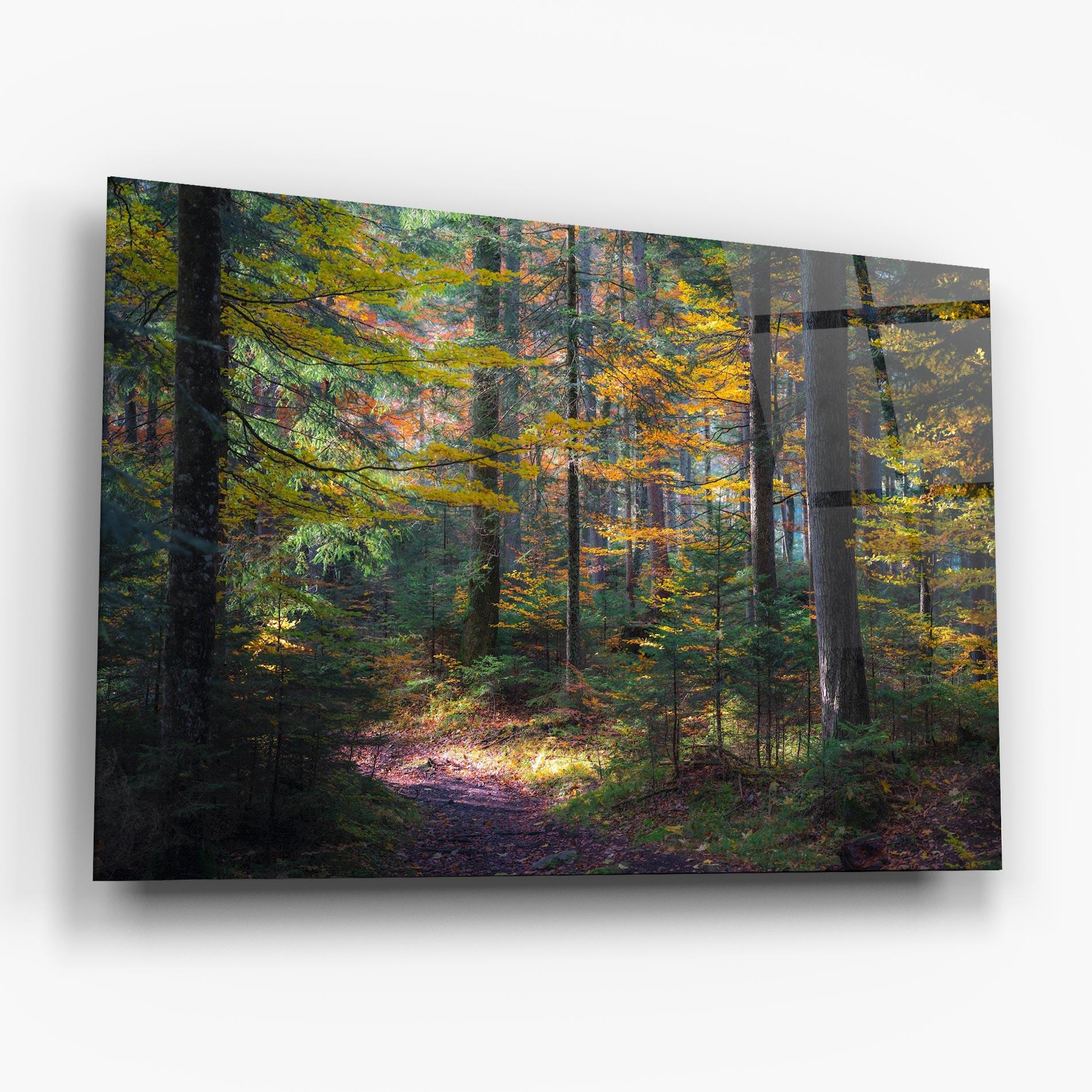 Tablou Sticla Dreamy Path Dorest mockup 6