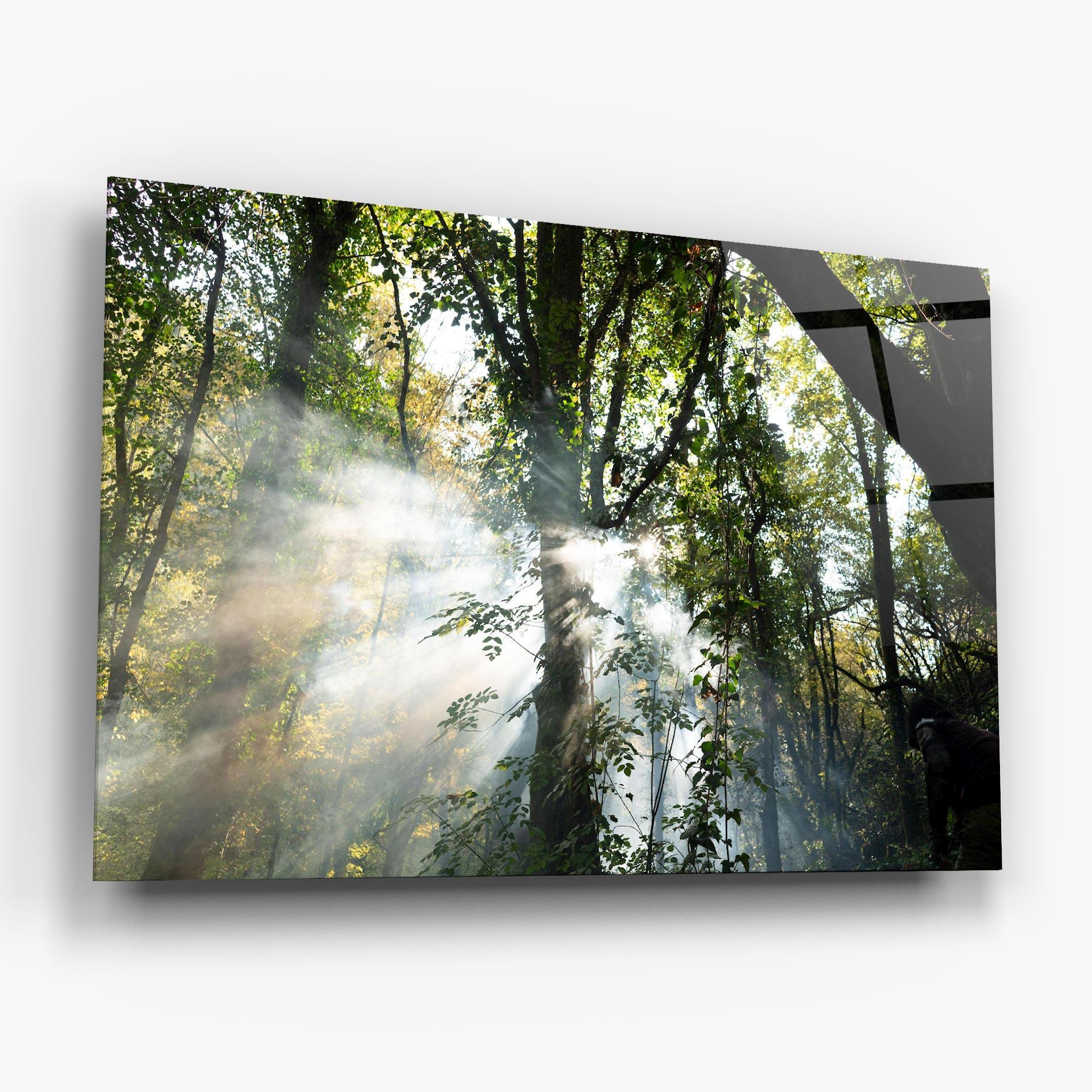 Tablou Sticla Foggy Light Forest mockup 6