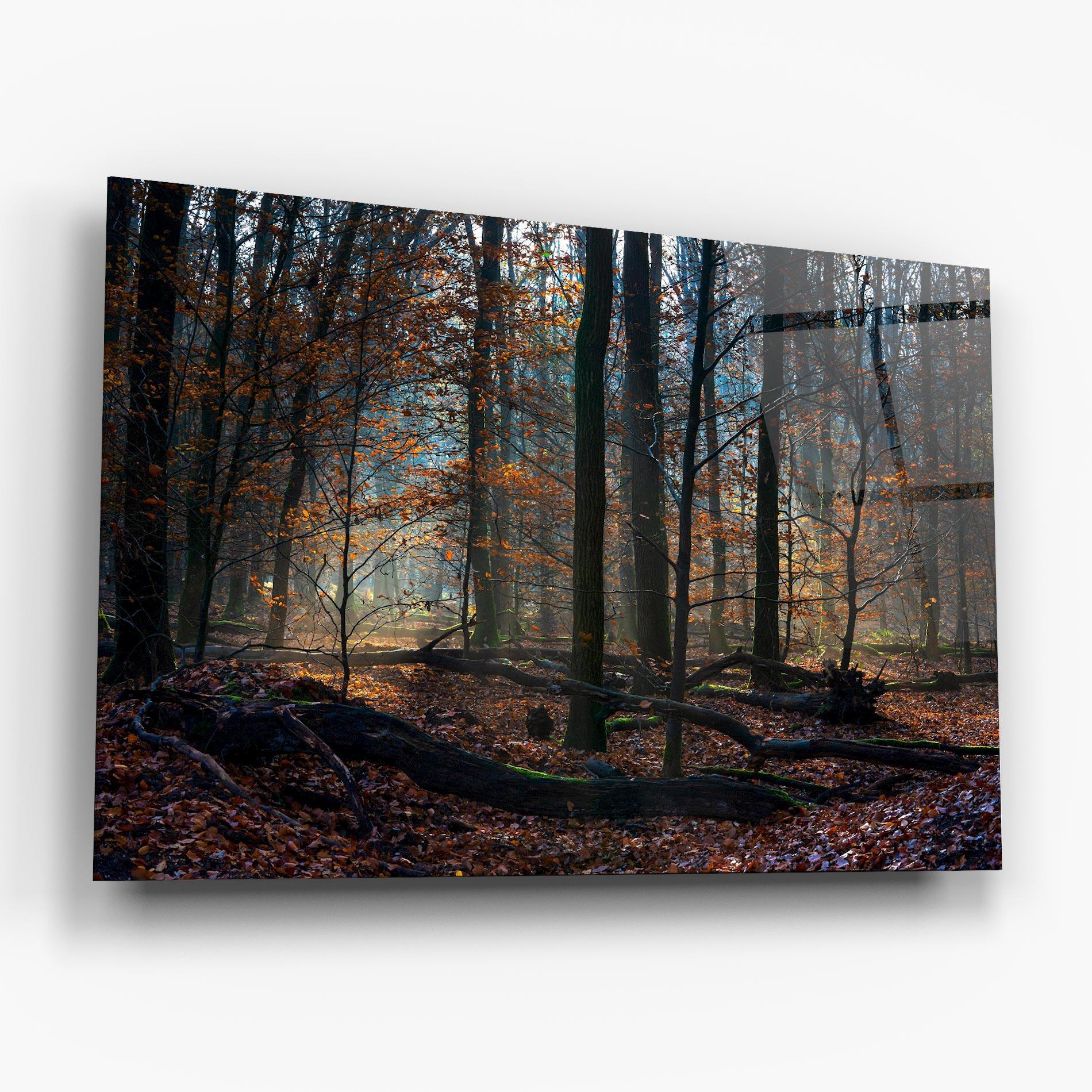 Tablou Sticla Forest Autumn Day mockup 6