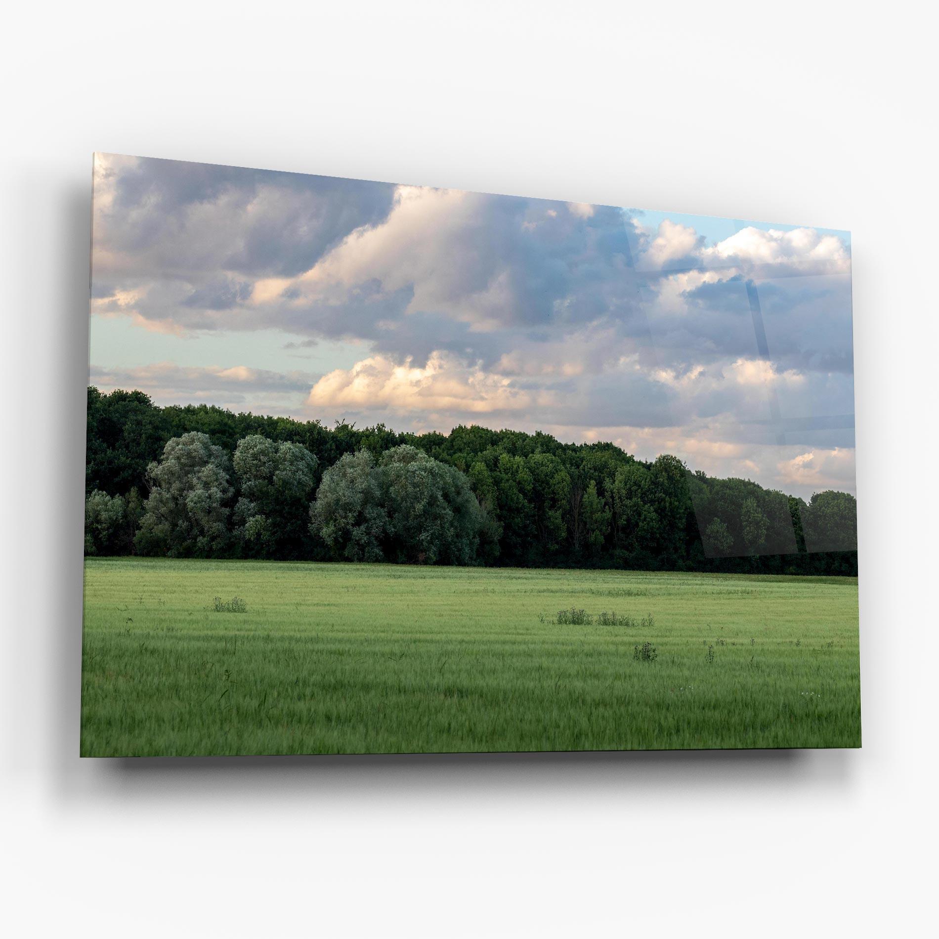 Tablou Sticla Forest Field mockup 6