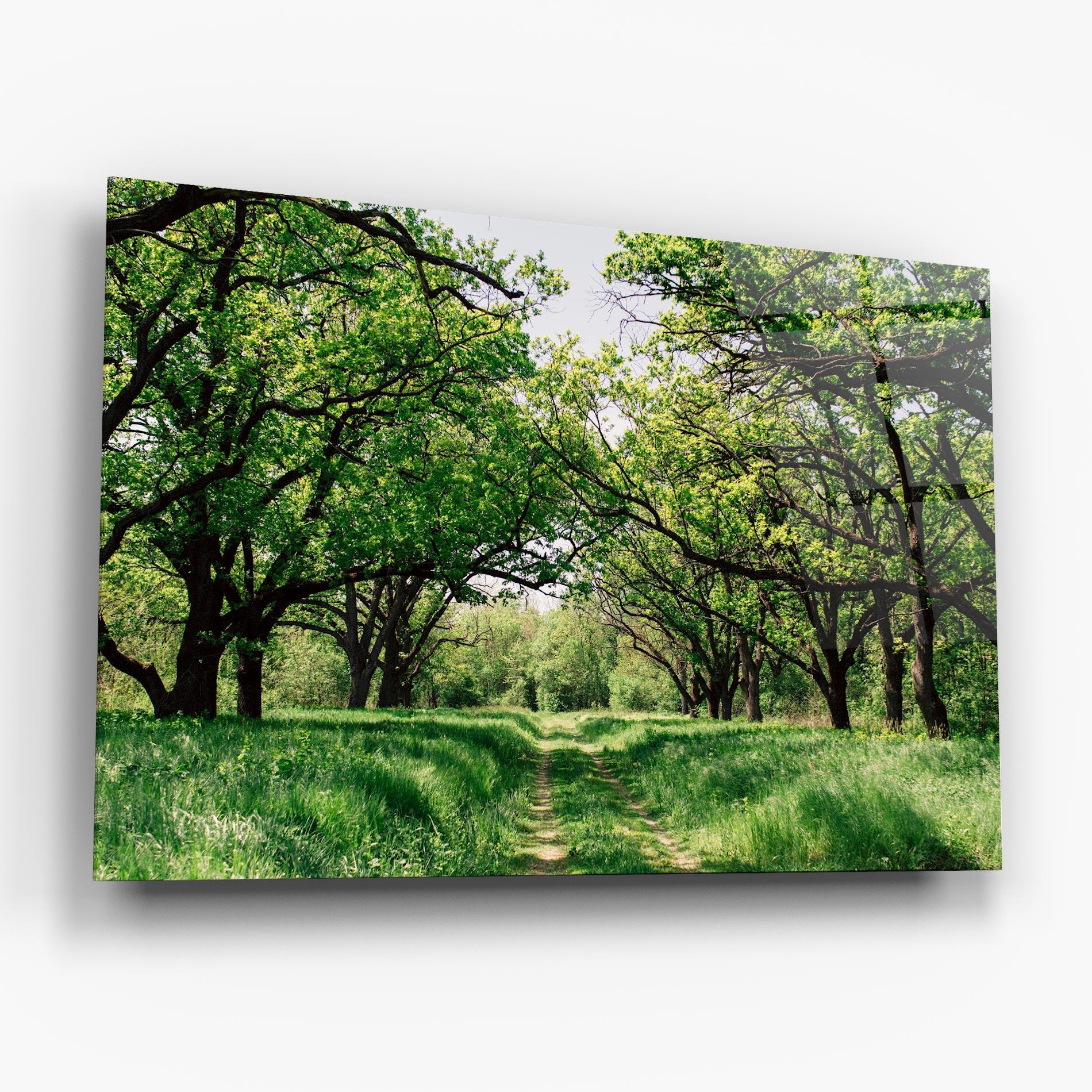 Tablou Sticla Forest Green Path mockup 6