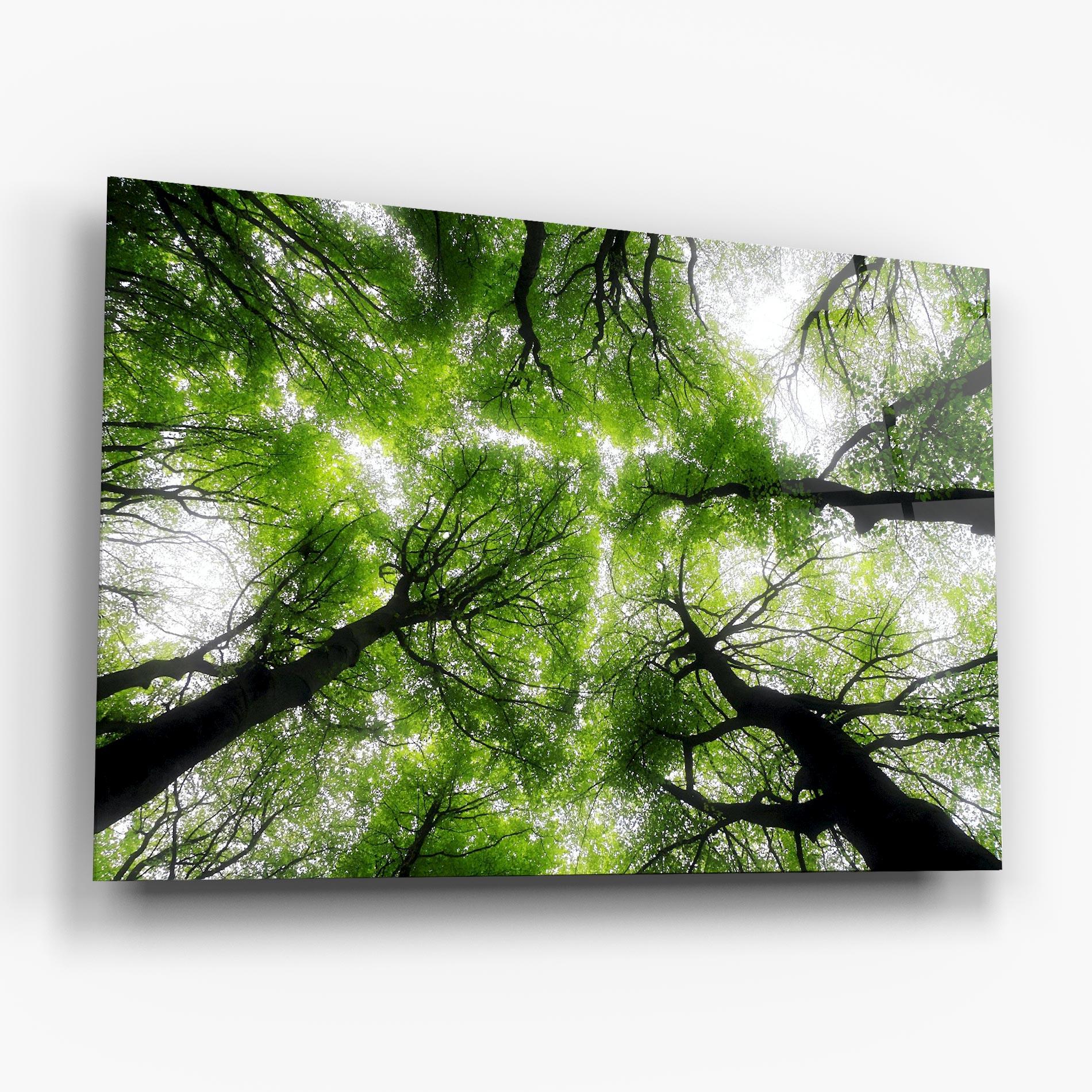 Tablou Sticla Forest Green Tree mockup 6