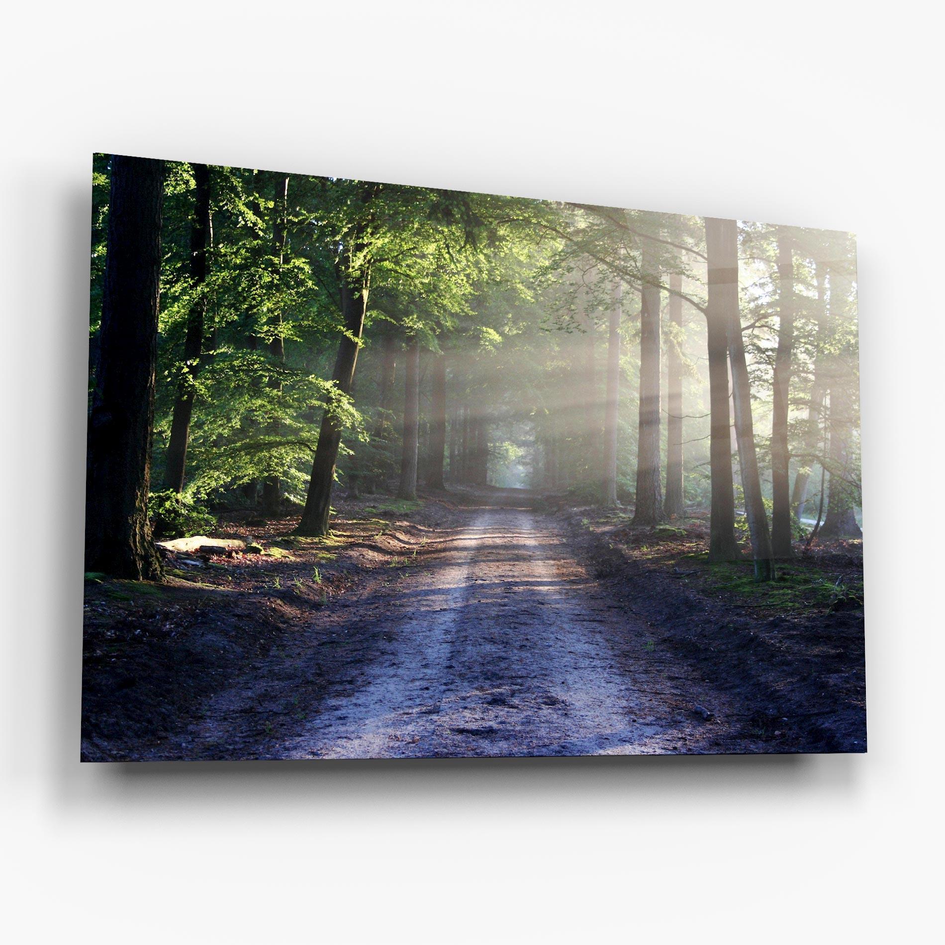 Tablou Sticla Forest Road mockup 6