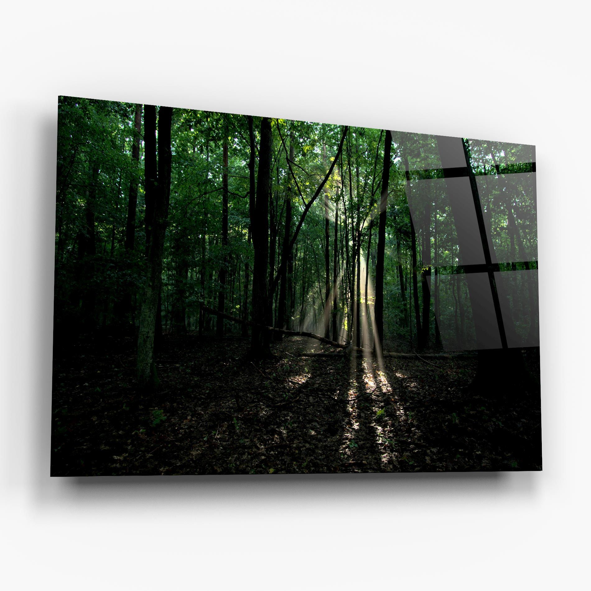 Forest Sun Light mockup 6