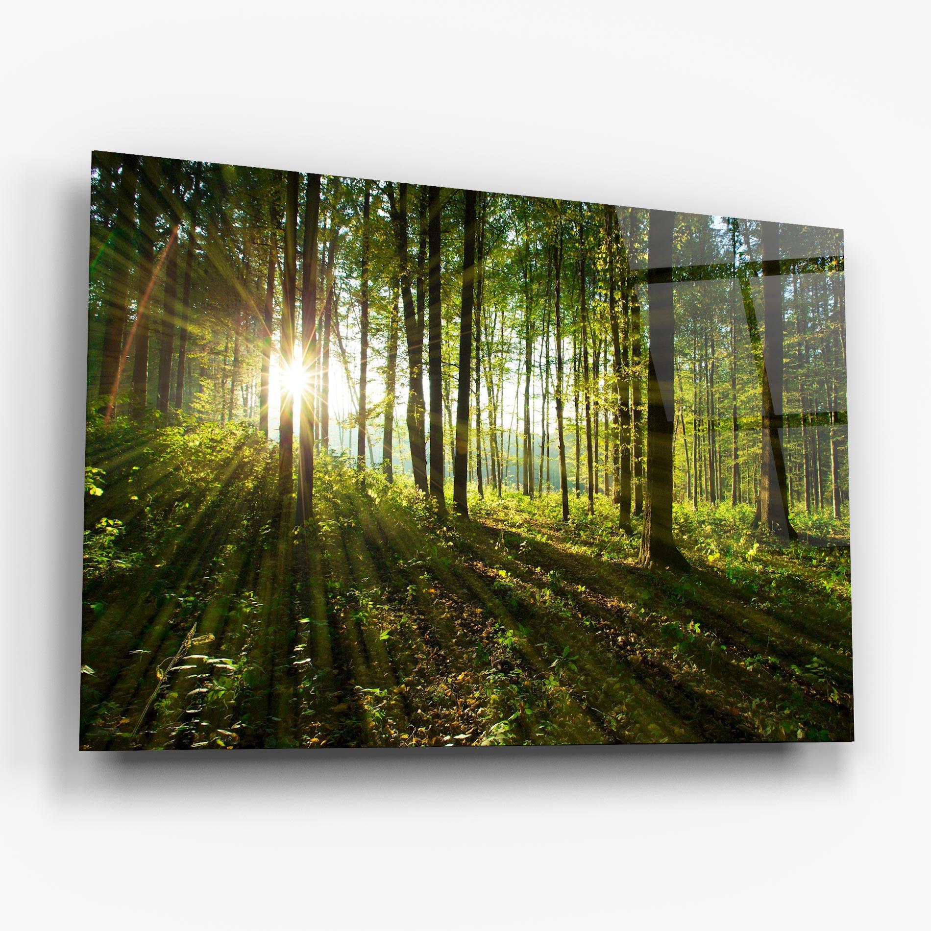 Tablou Sticla Green Light Forest mockup 6
